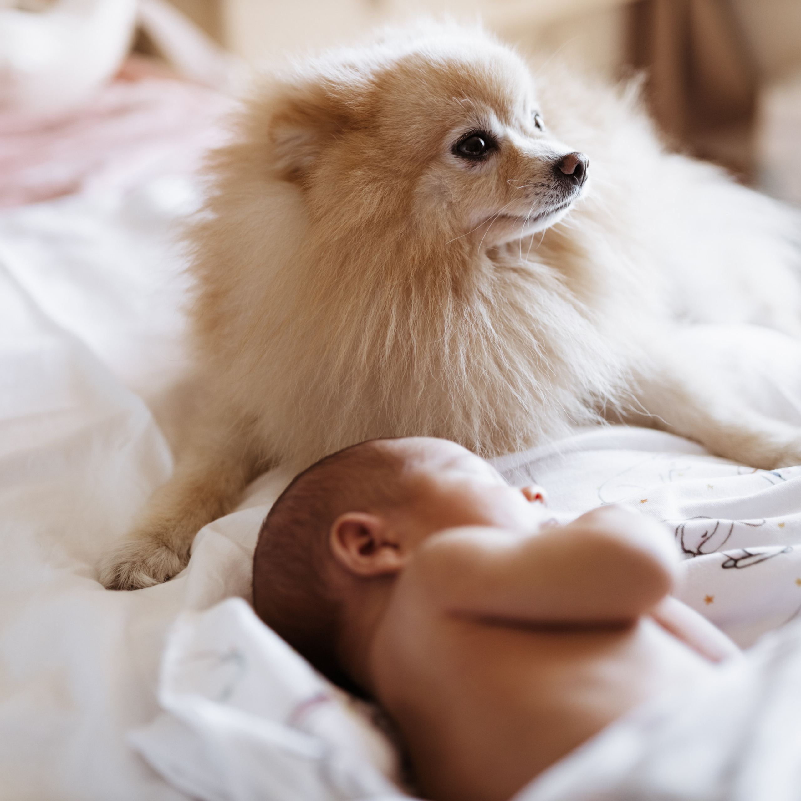 Дома вместе. Фотограф Мария Сваридзе