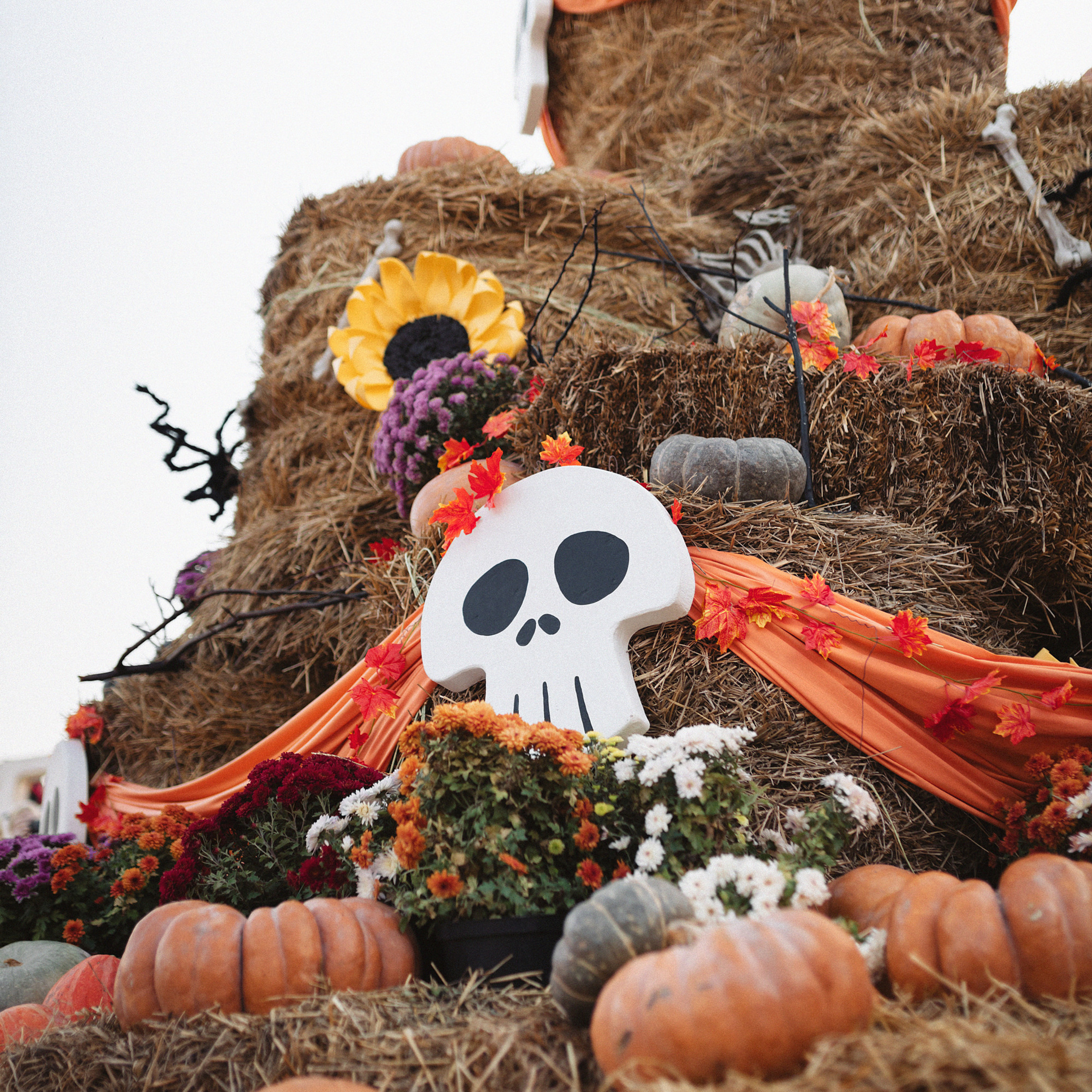 День Рождения в Сочи парке. Фотограф Мария Сваридзе