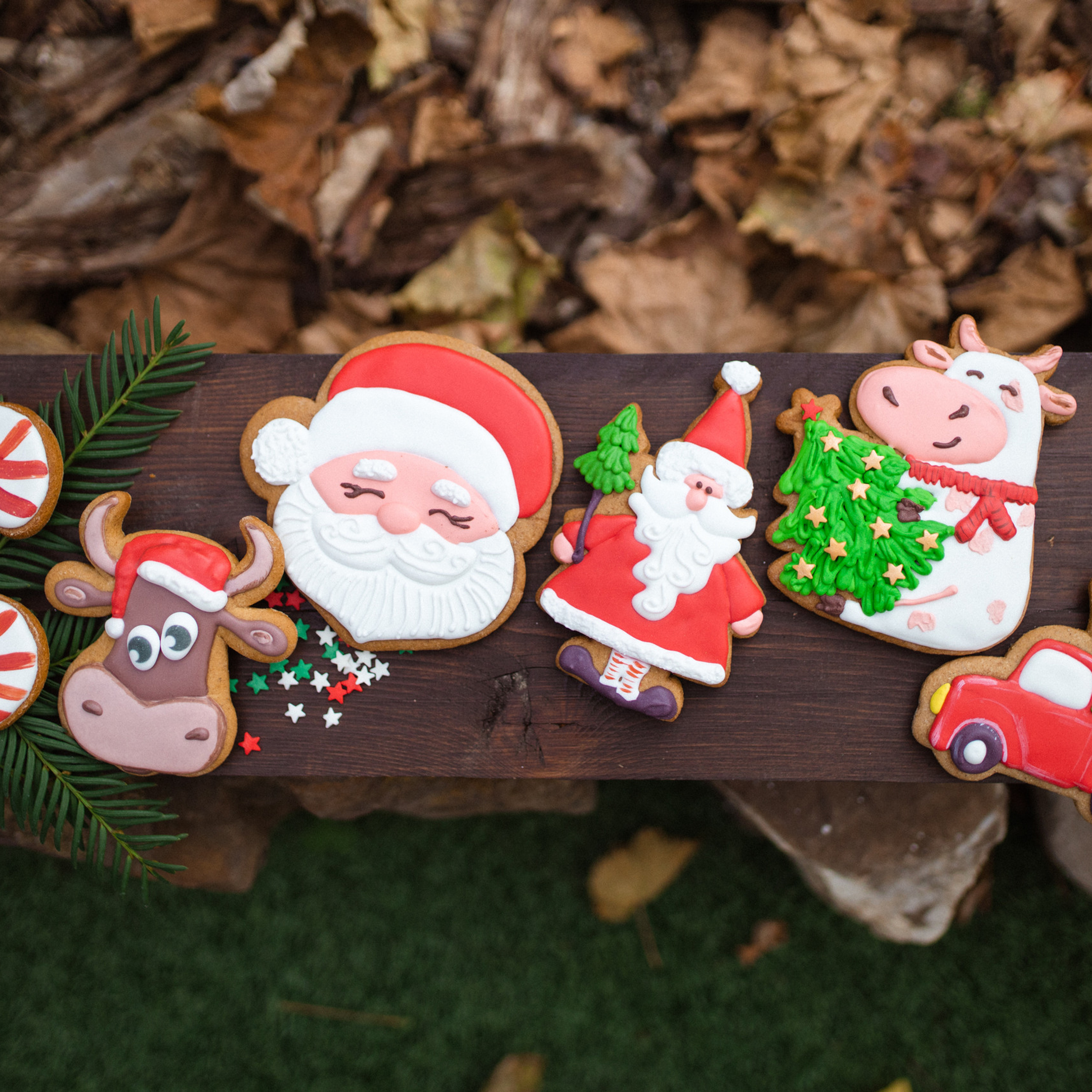 Пряничная жизнь. Фотограф Мария Сваридзе