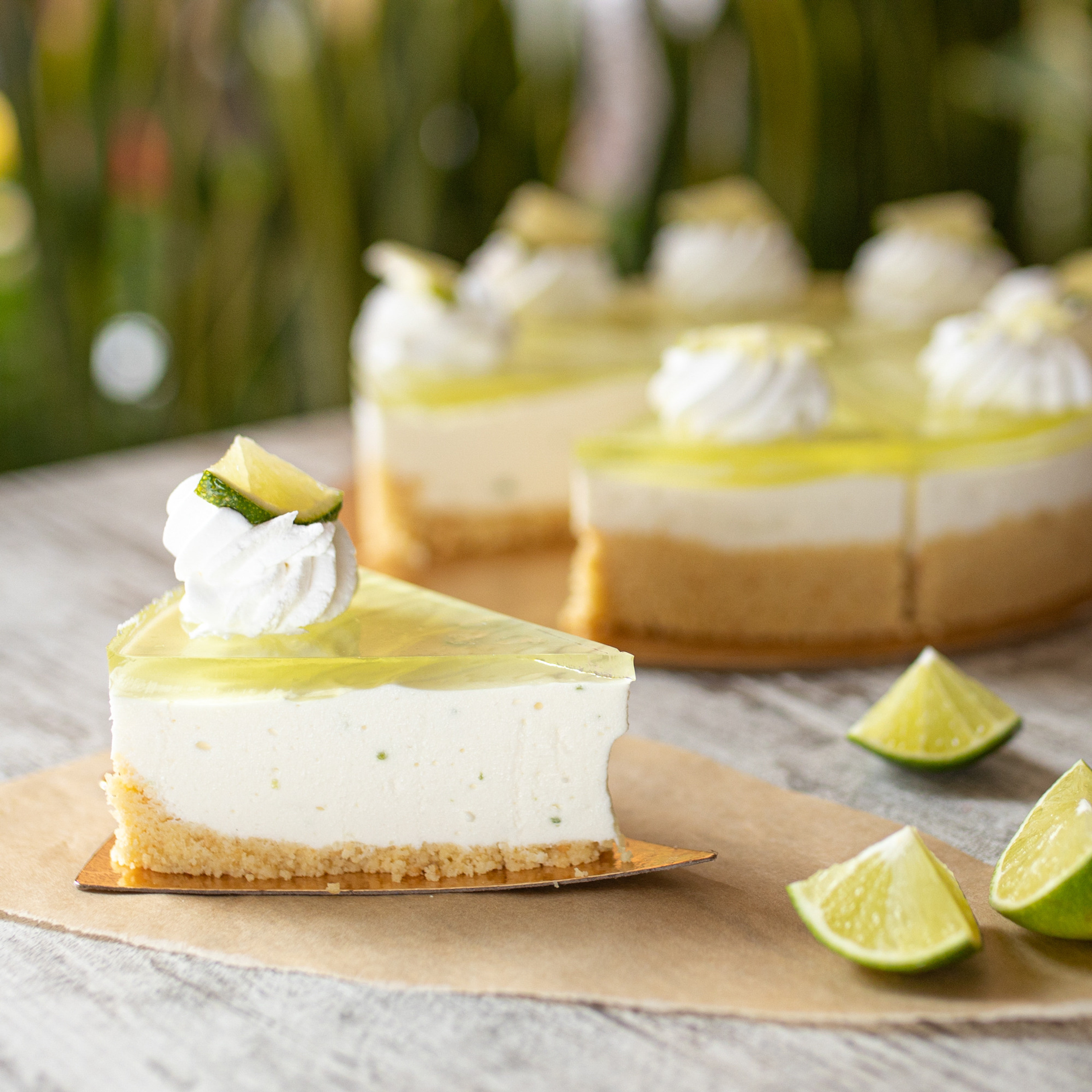 Море кофе. Фотограф Мария Сваридзе