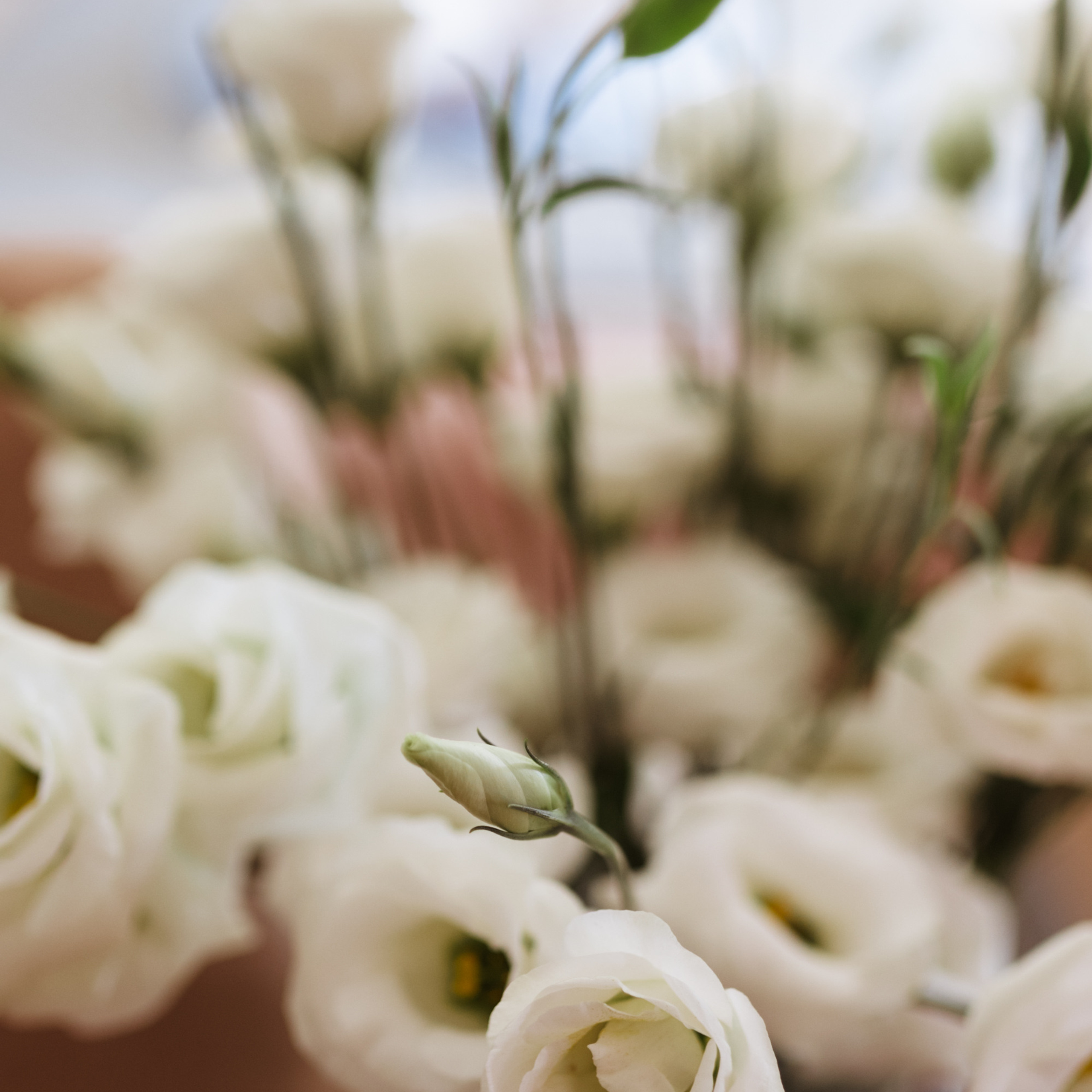 Дома вместе. Фотограф Мария Сваридзе