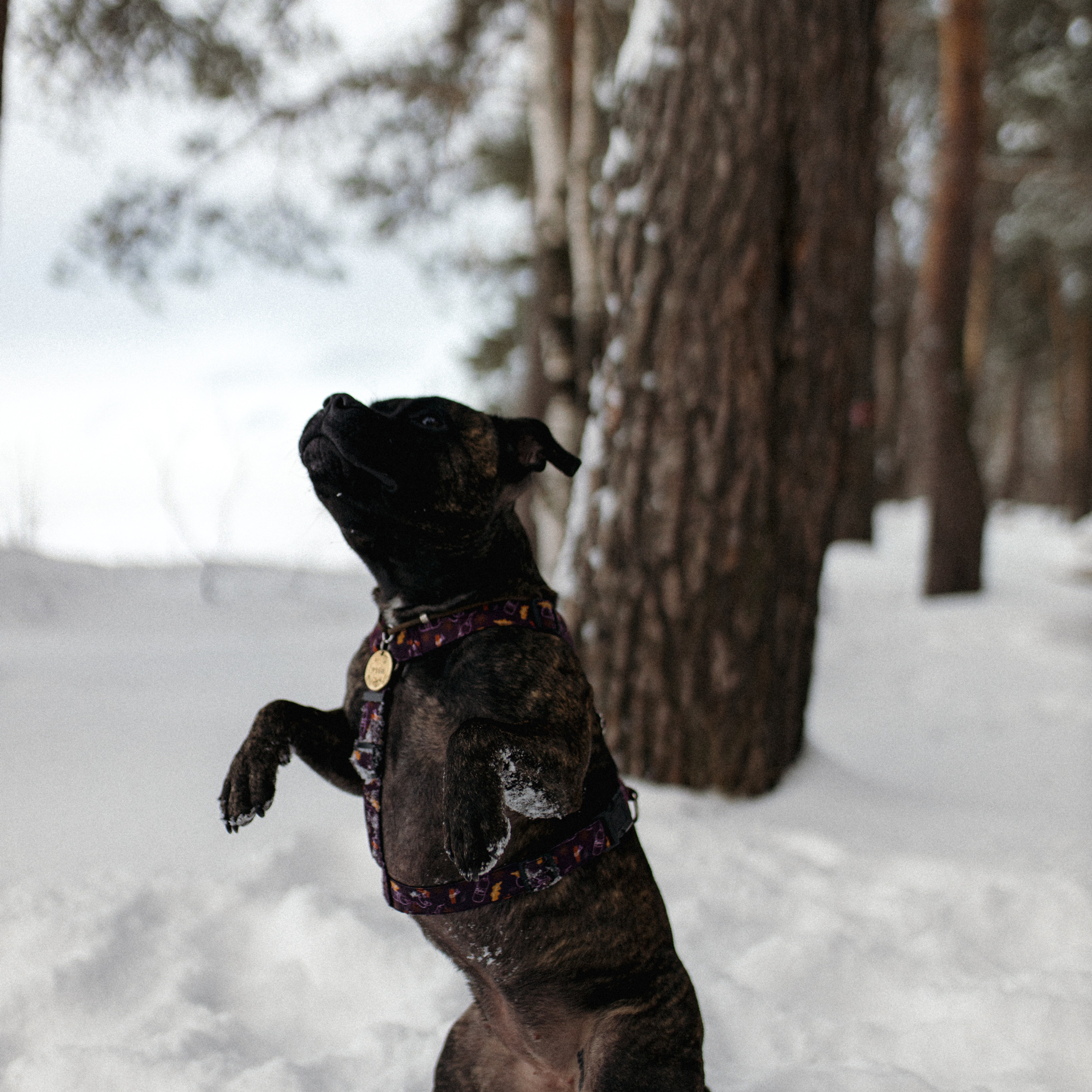 Женя Катя Руби. Фотограф Мария Сваридзе