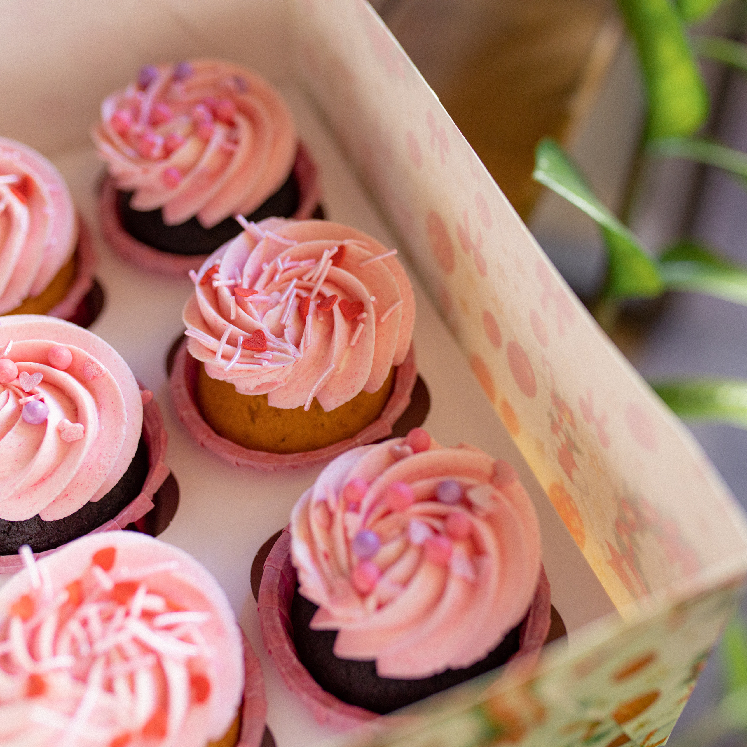 Море кофе. Фотограф Мария Сваридзе