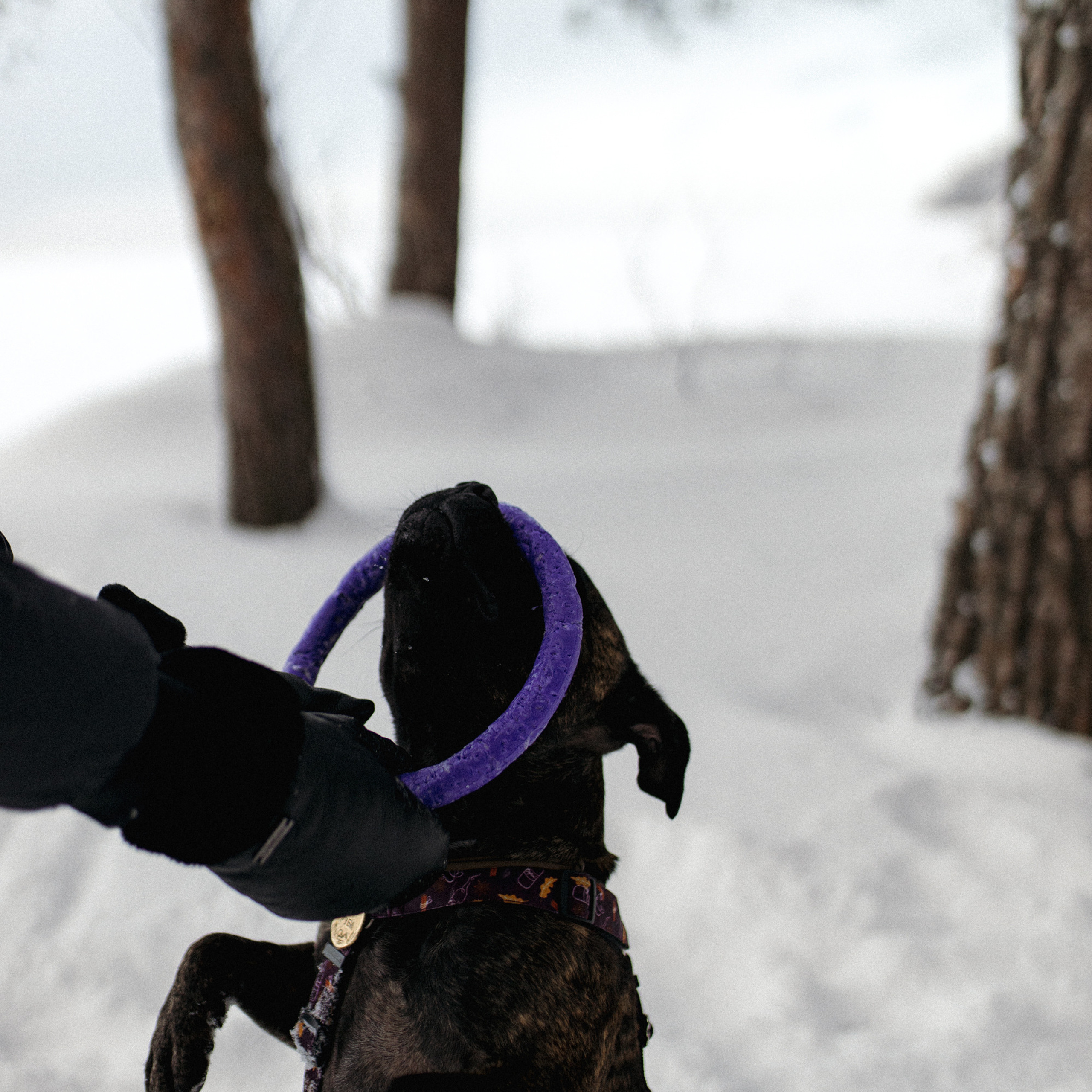 Женя Катя Руби. Фотограф Мария Сваридзе