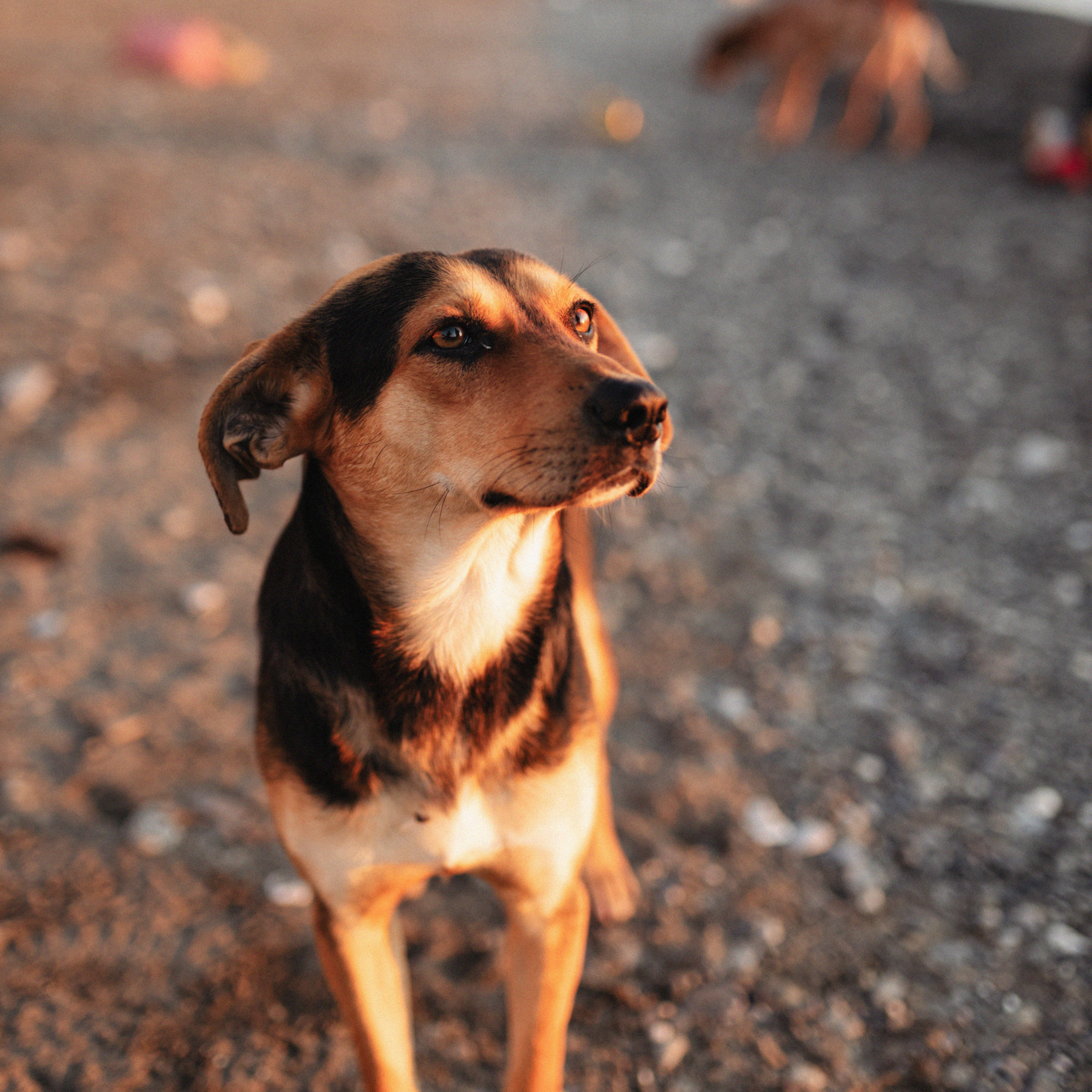 Надя, театр, море. Фотограф Мария Сваридзе