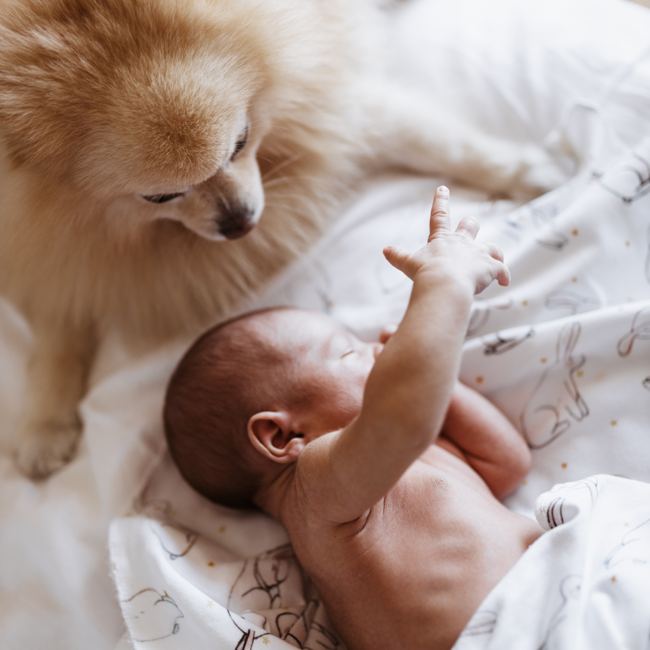 Дома вместе. Фотограф Мария Сваридзе