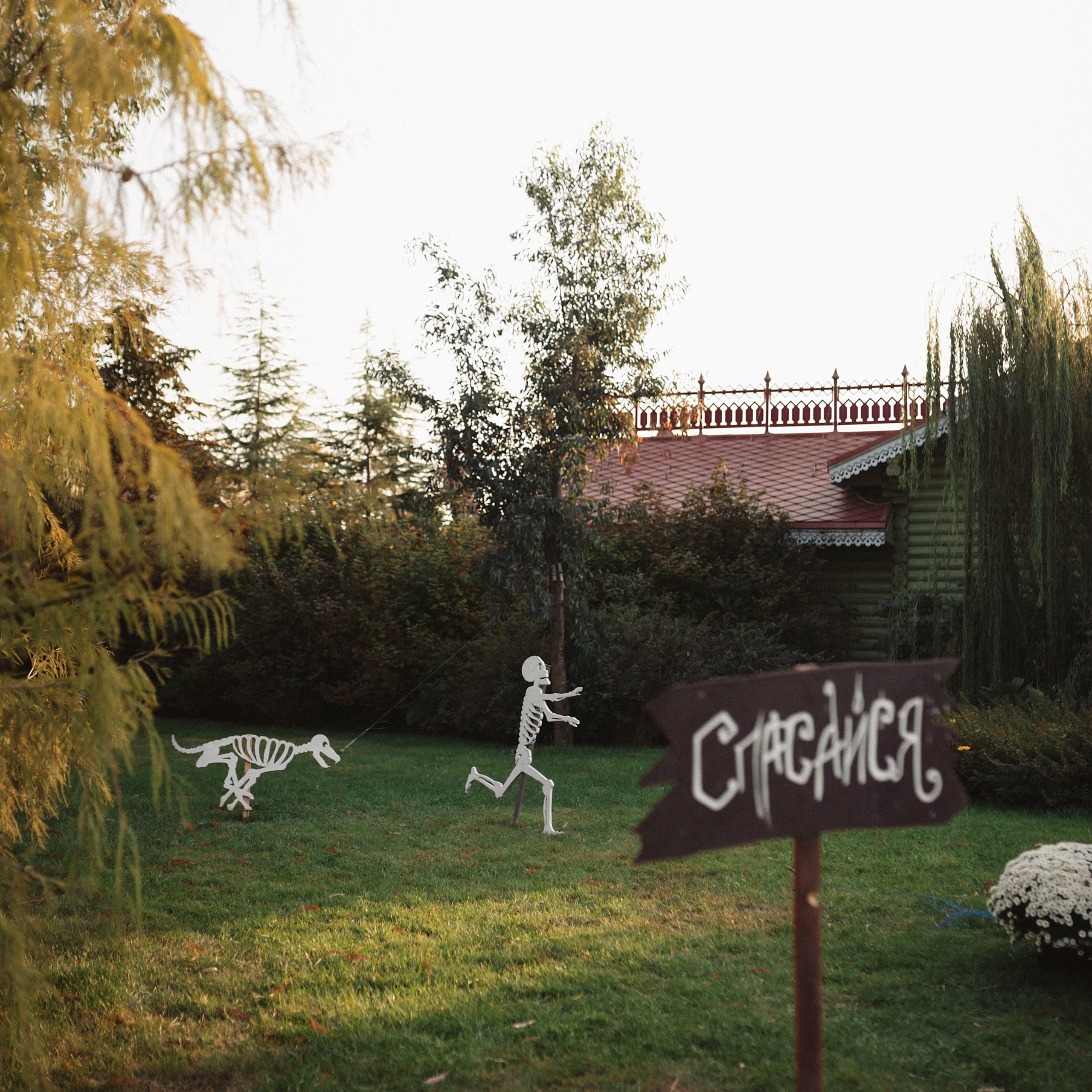 День Рождения в Сочи парке. Фотограф Мария Сваридзе