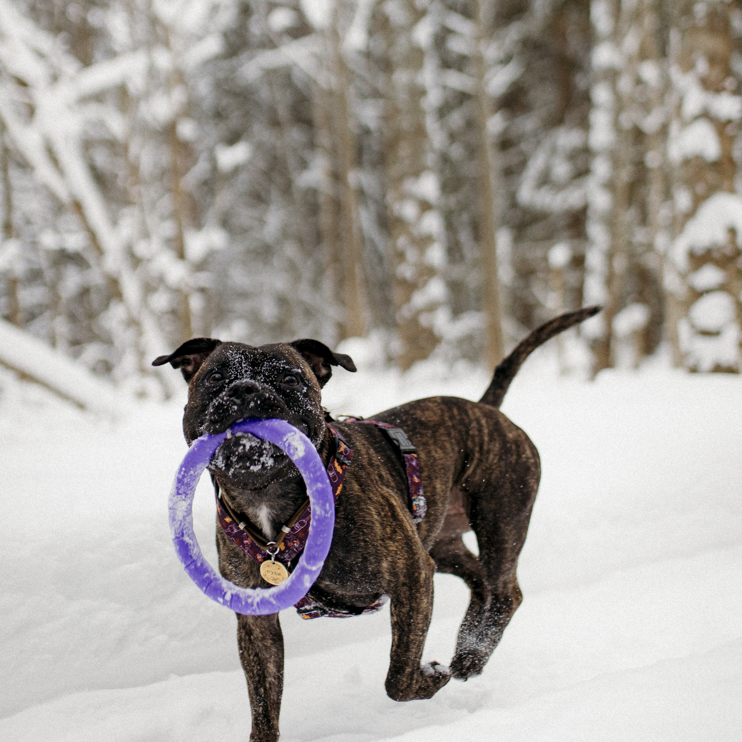 Женя Катя Руби. Фотограф Мария Сваридзе