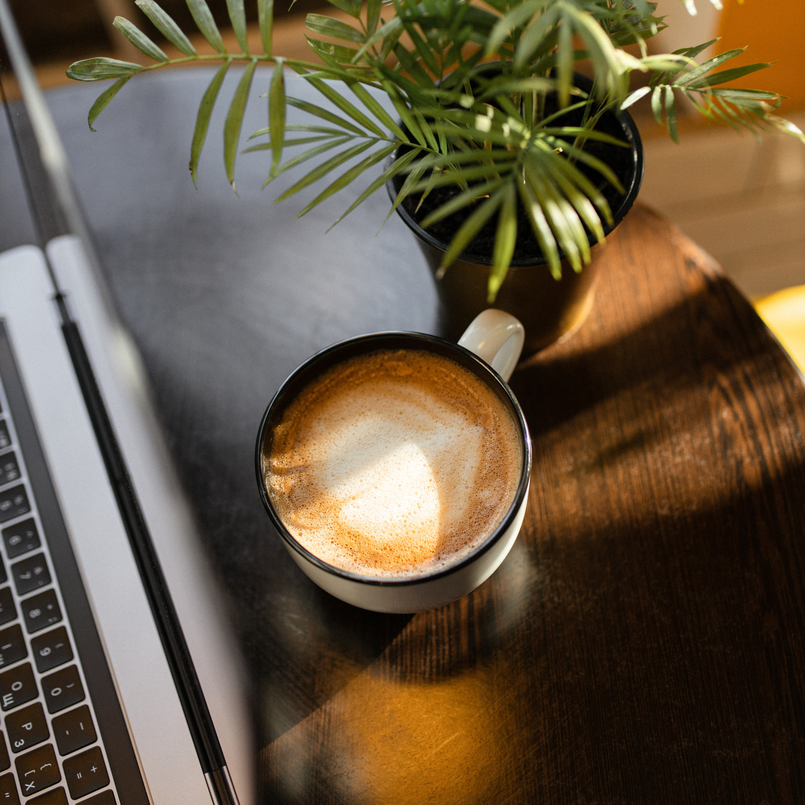 Море кофе. Фотограф Мария Сваридзе