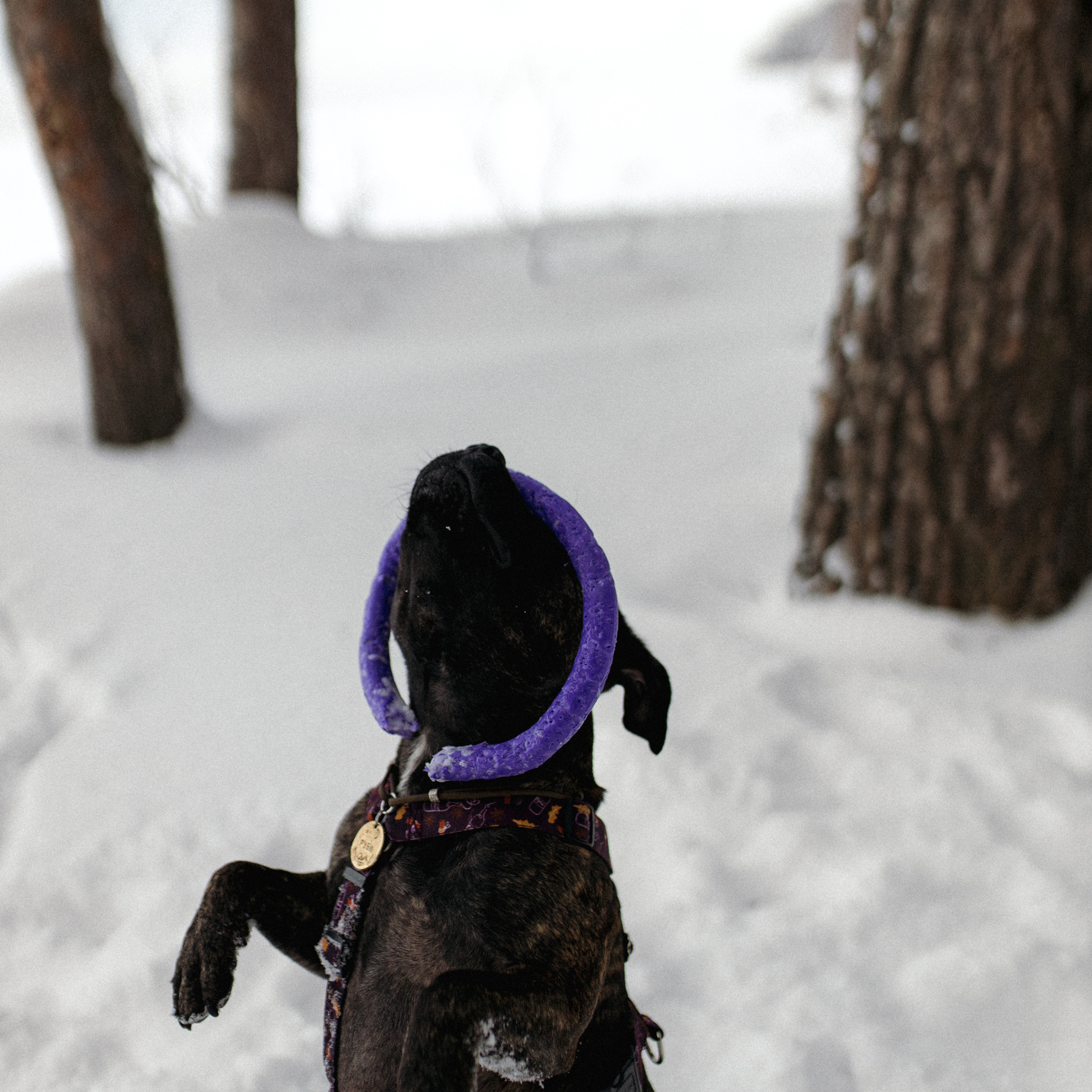 Женя Катя Руби. Фотограф Мария Сваридзе