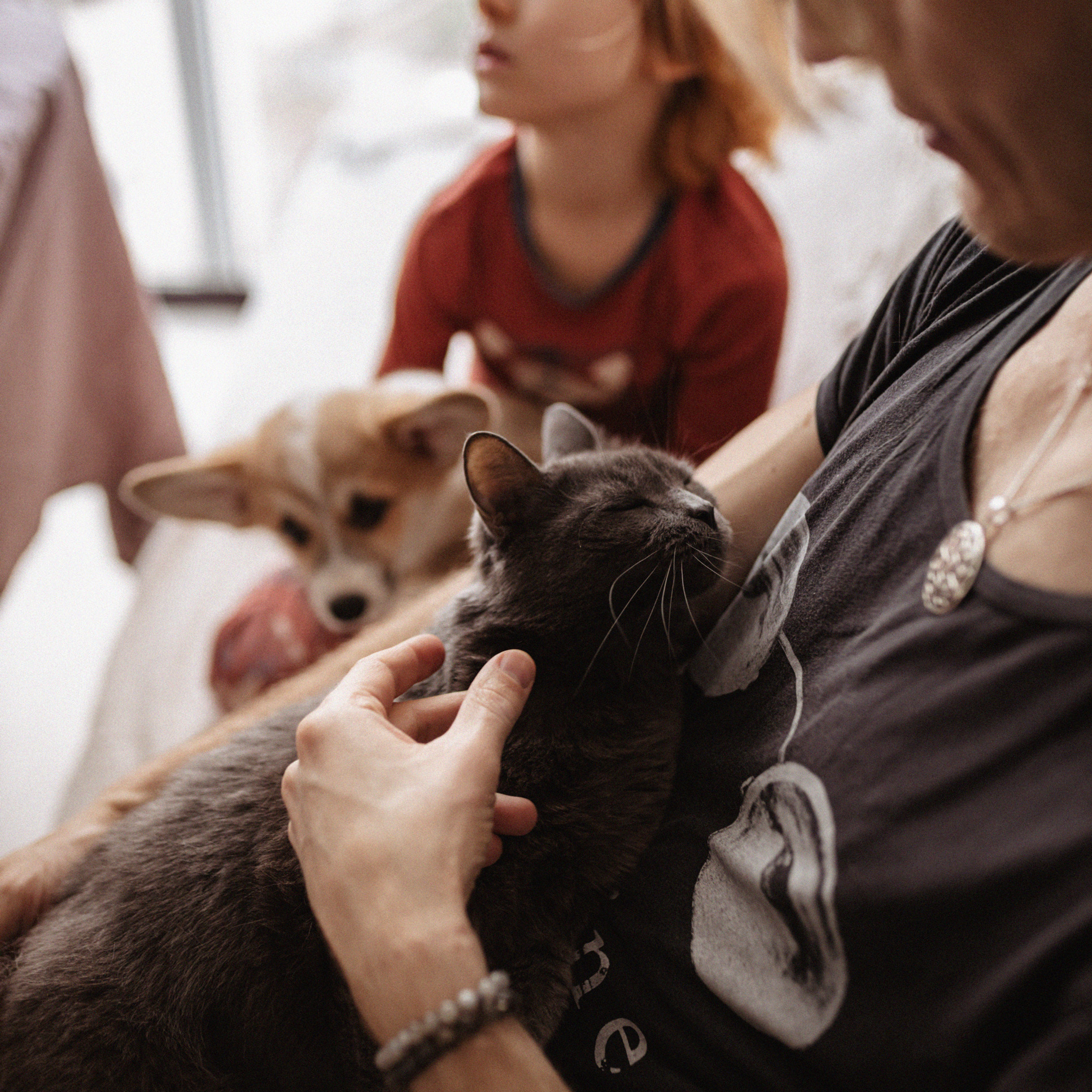 Домашняя. Фотограф Мария Сваридзе