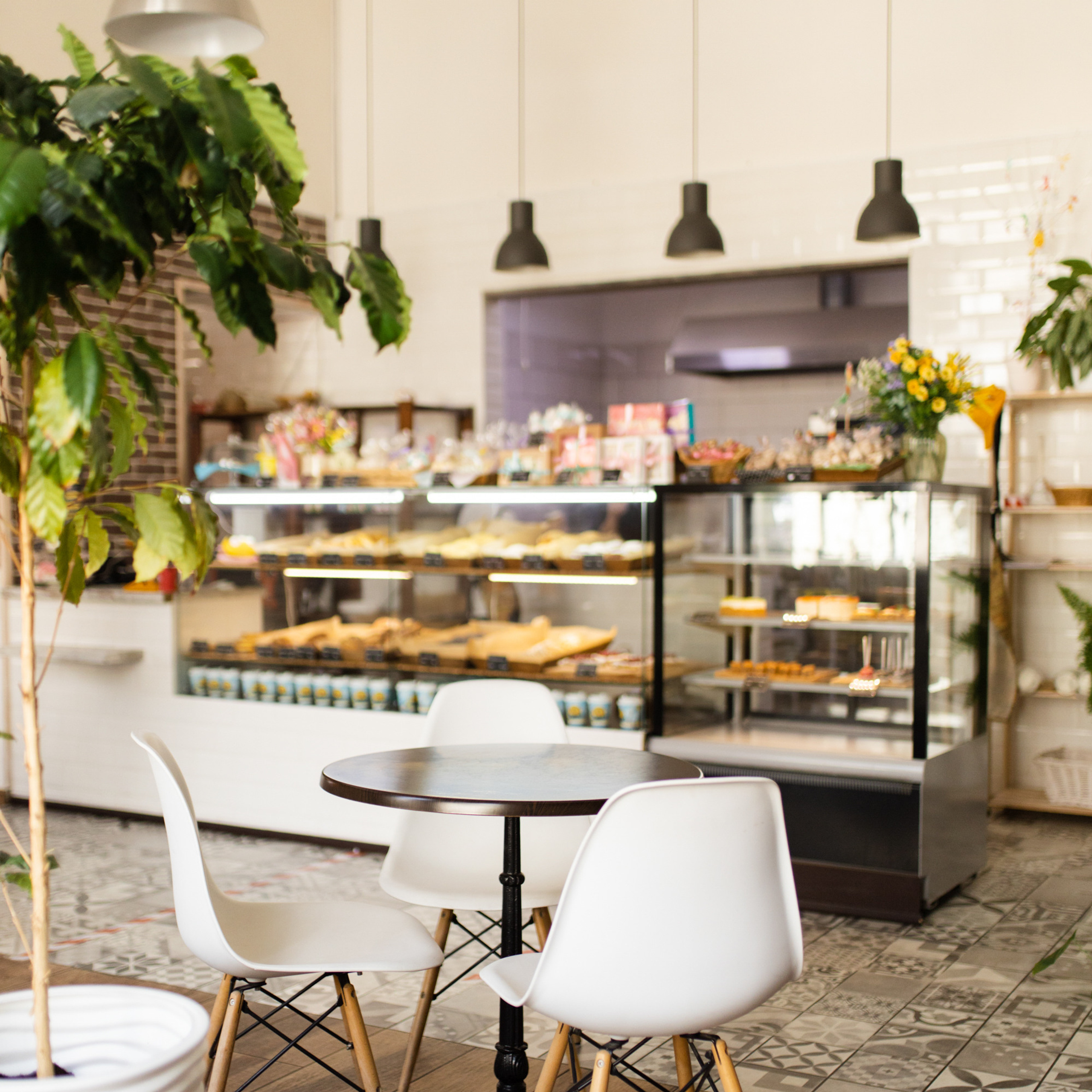 Море кофе. Фотограф Мария Сваридзе