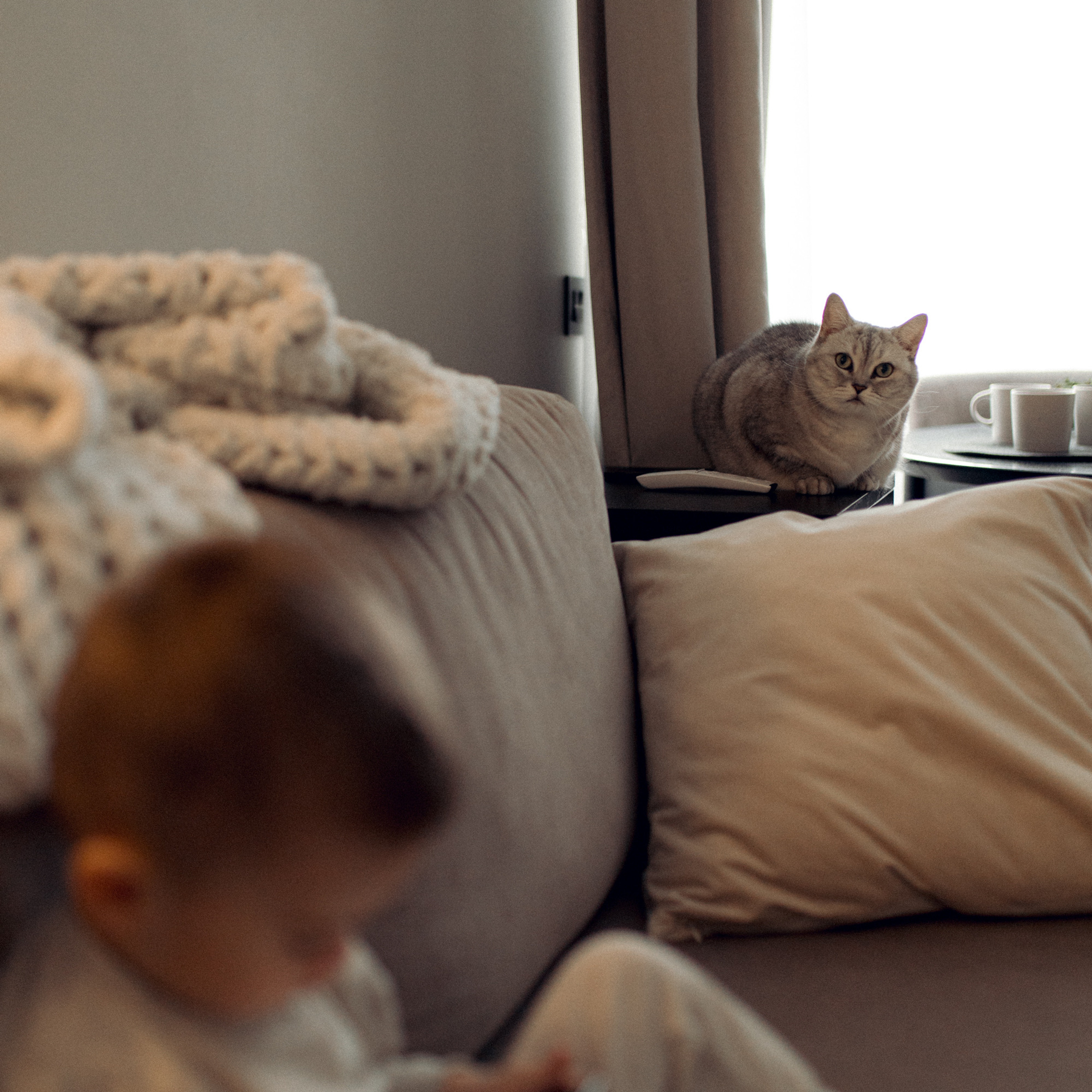 Домашняя. Фотограф Мария Сваридзе