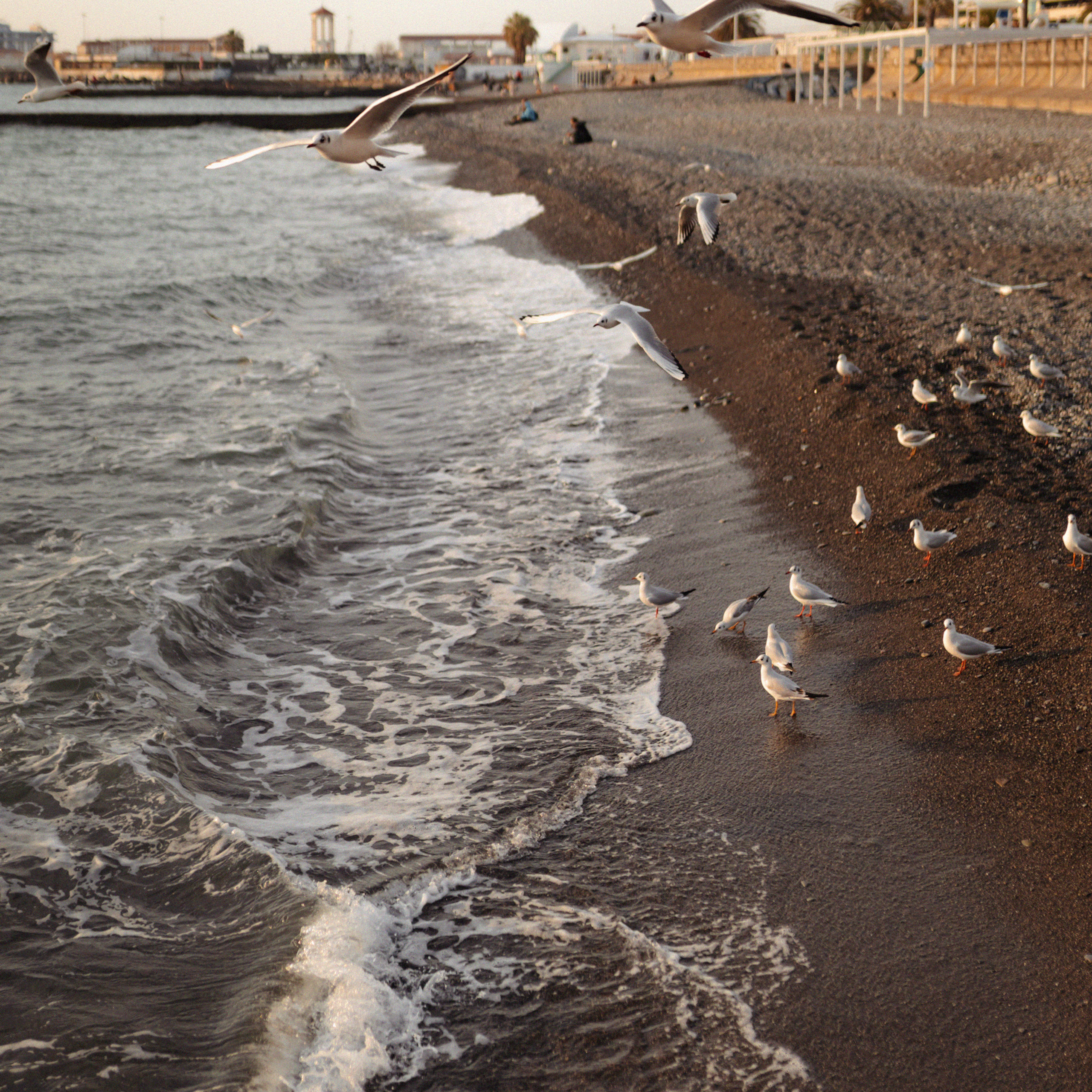 На море классно!. Фотограф Мария Сваридзе
