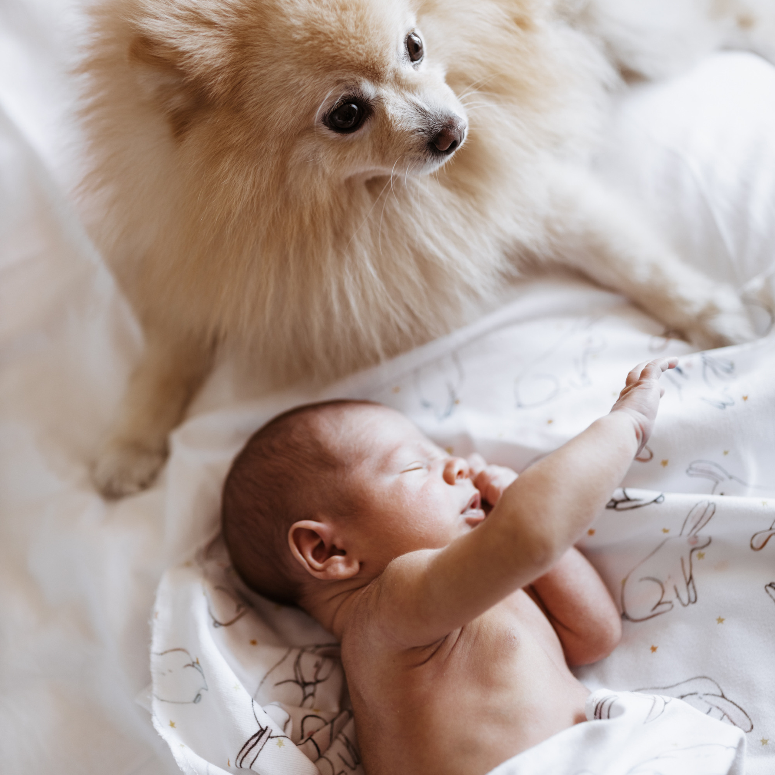 Дома вместе. Фотограф Мария Сваридзе