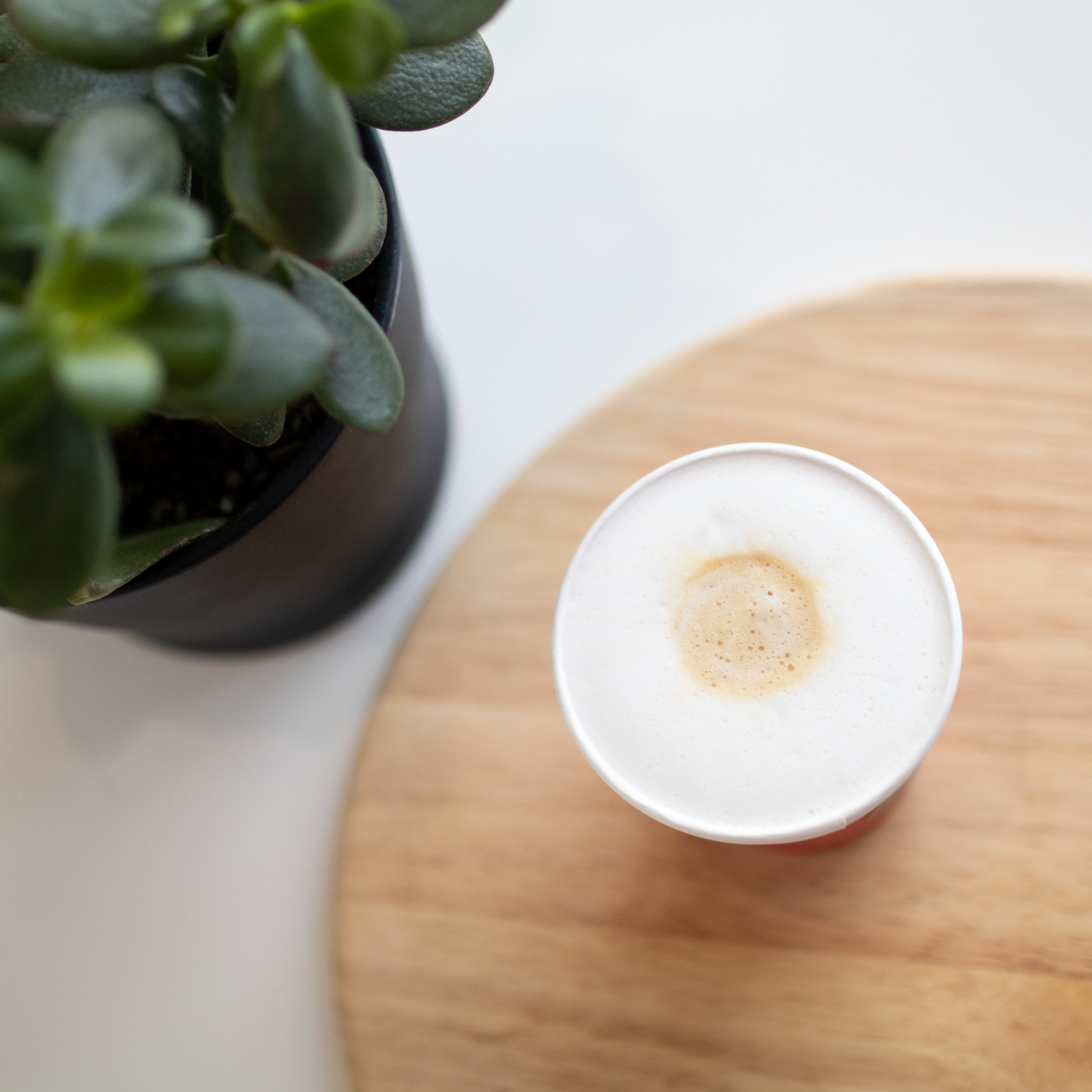 Hollywood.coffee. Фотограф Мария Сваридзе