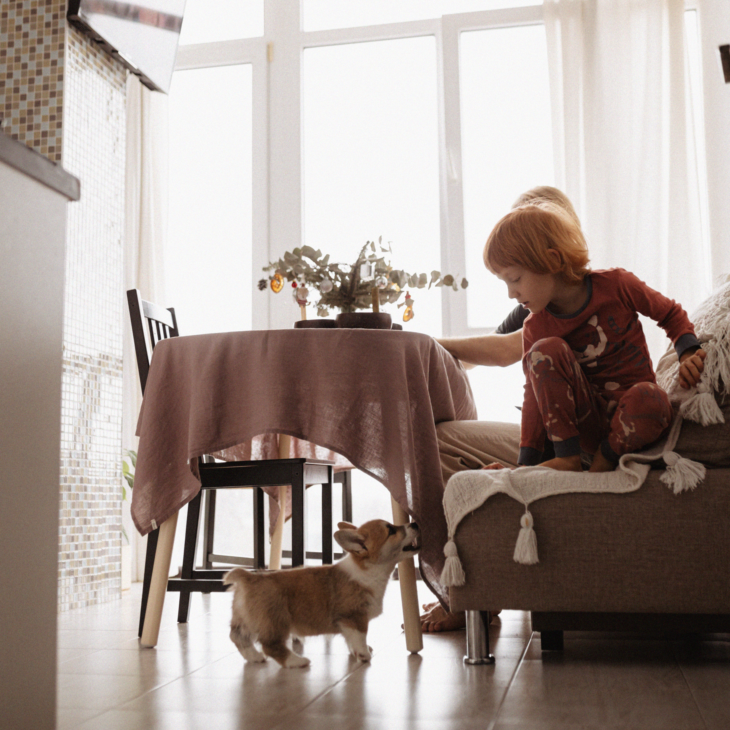 Домашняя. Фотограф Мария Сваридзе