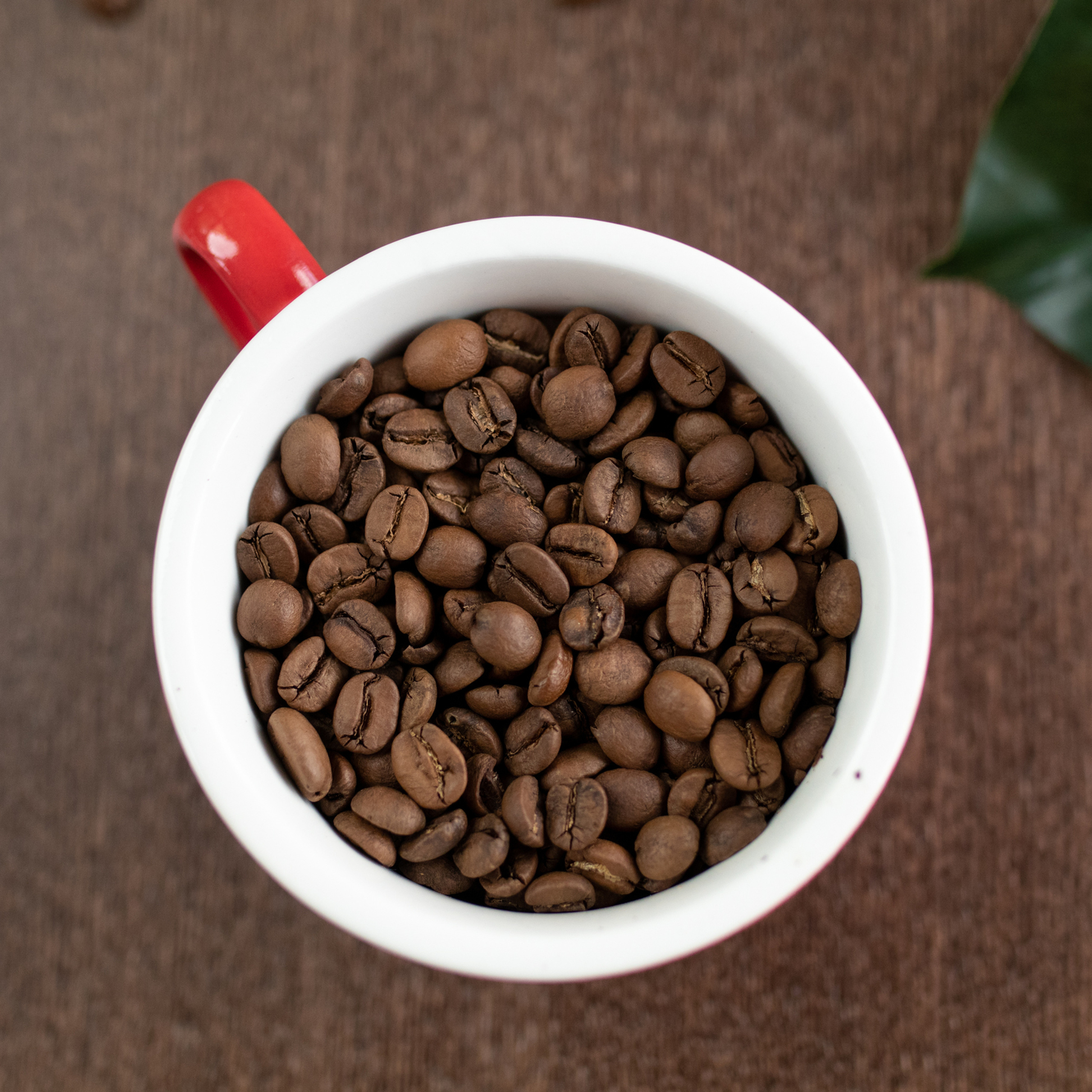 Hollywood.coffee. Фотограф Мария Сваридзе