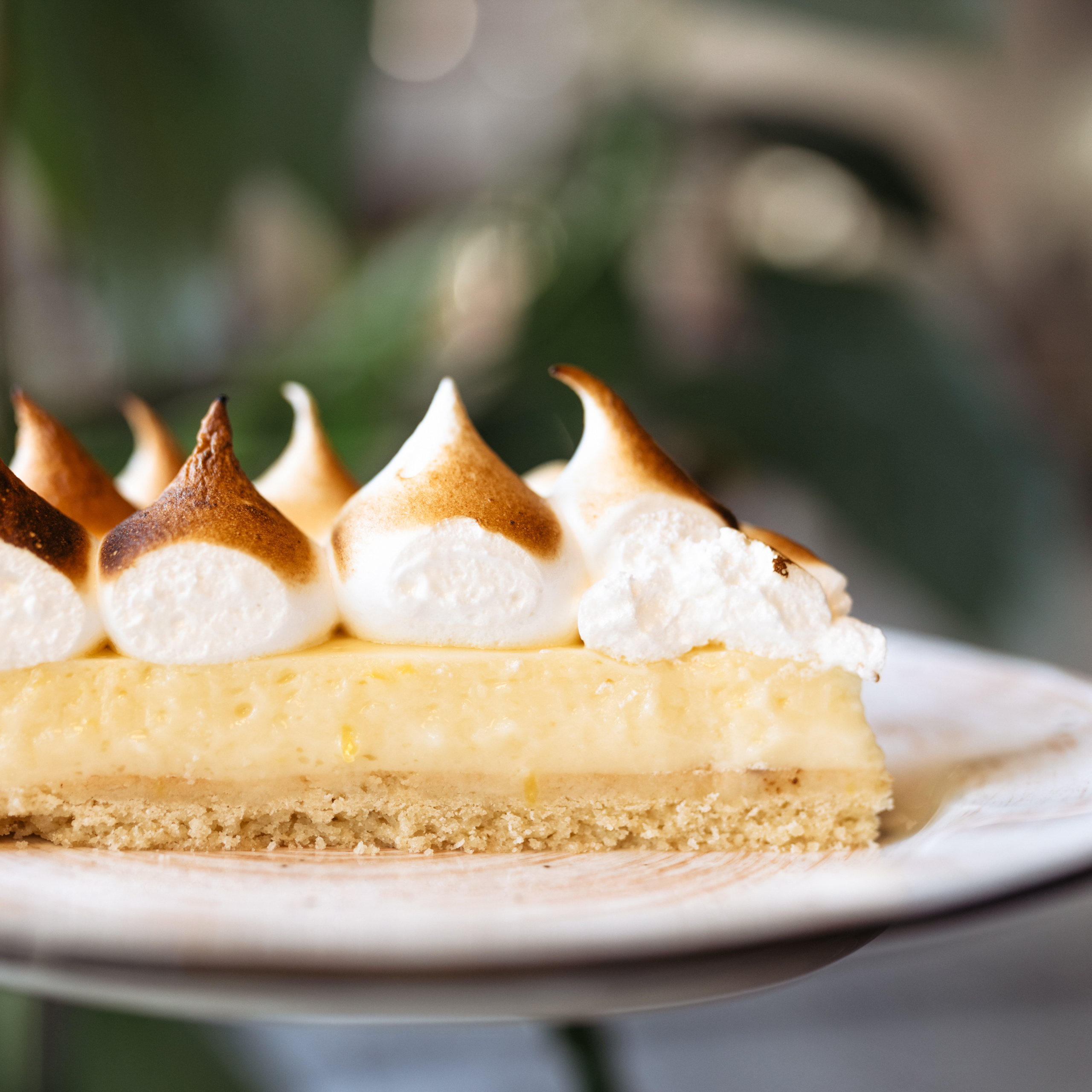 Море кофе. Фотограф Мария Сваридзе