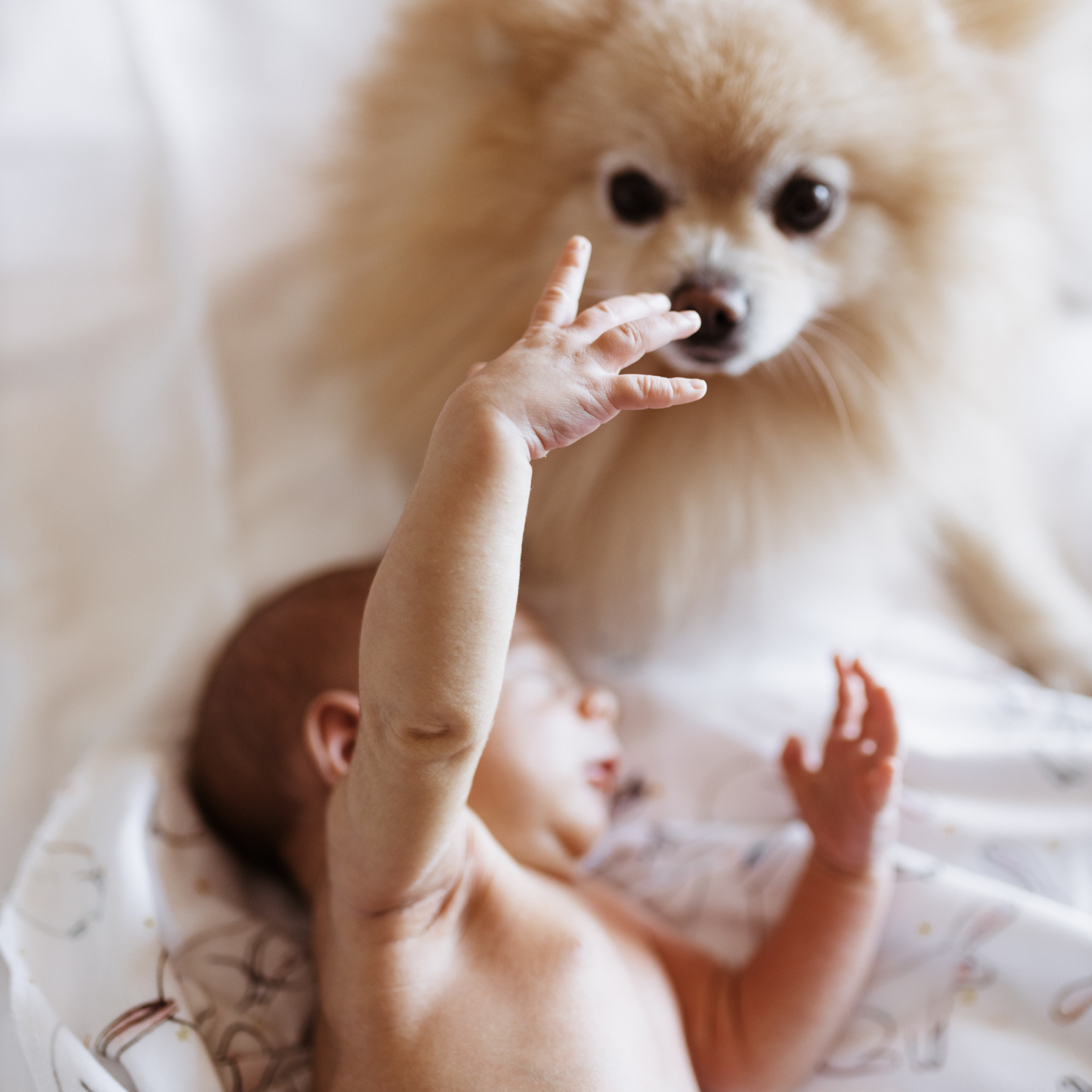 Дома вместе. Фотограф Мария Сваридзе