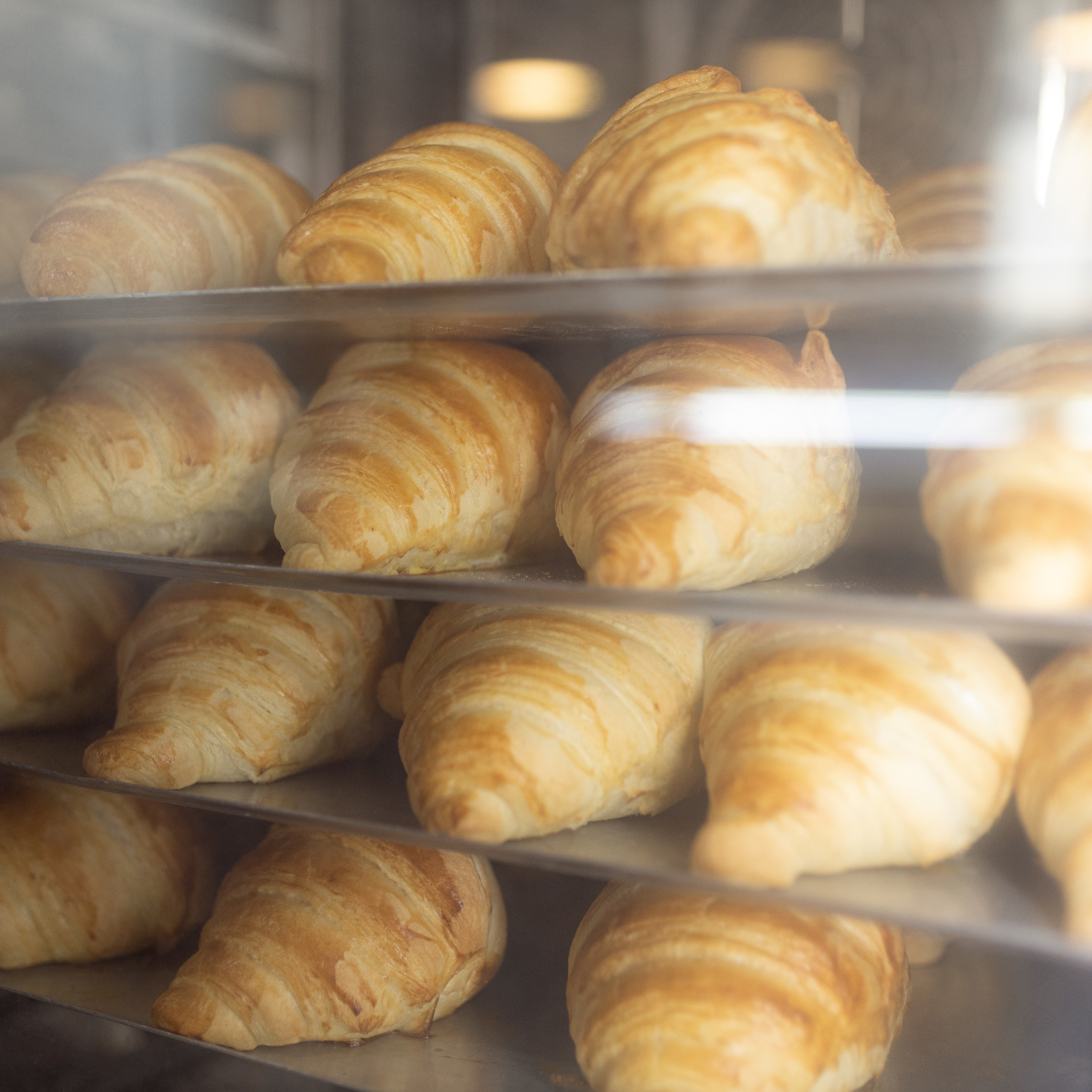 Море кофе. Фотограф Мария Сваридзе