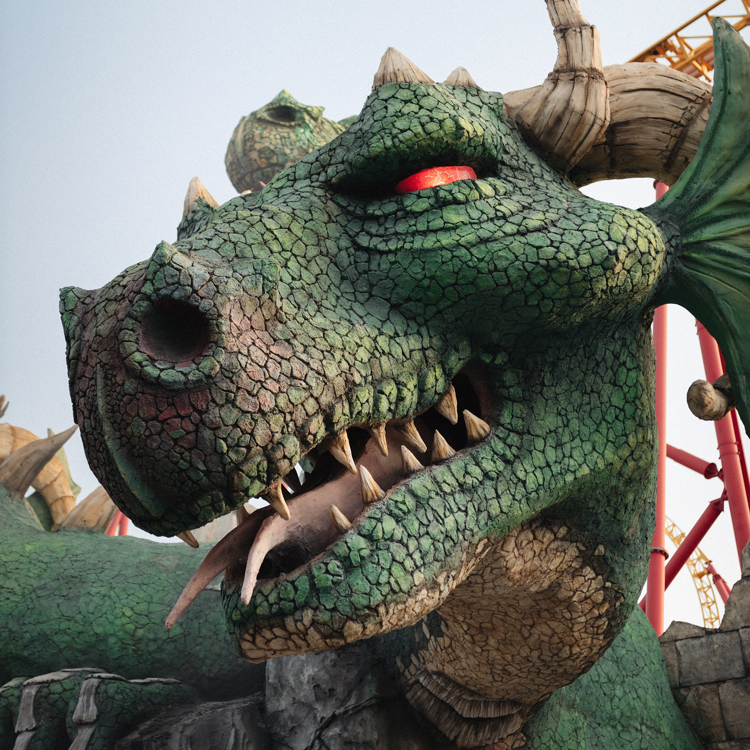 День Рождения в Сочи парке. Фотограф Мария Сваридзе