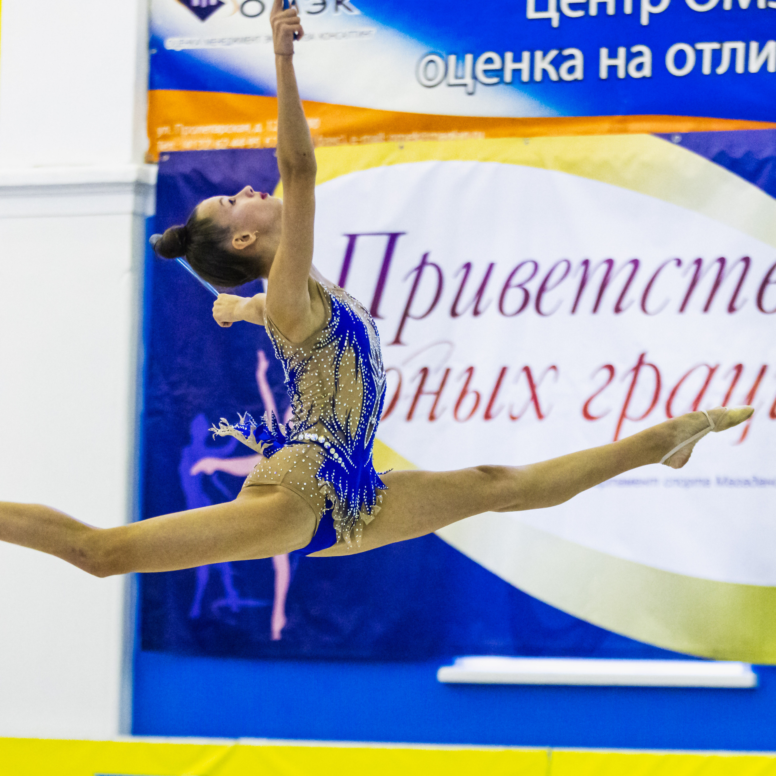 Художественная гимнастика