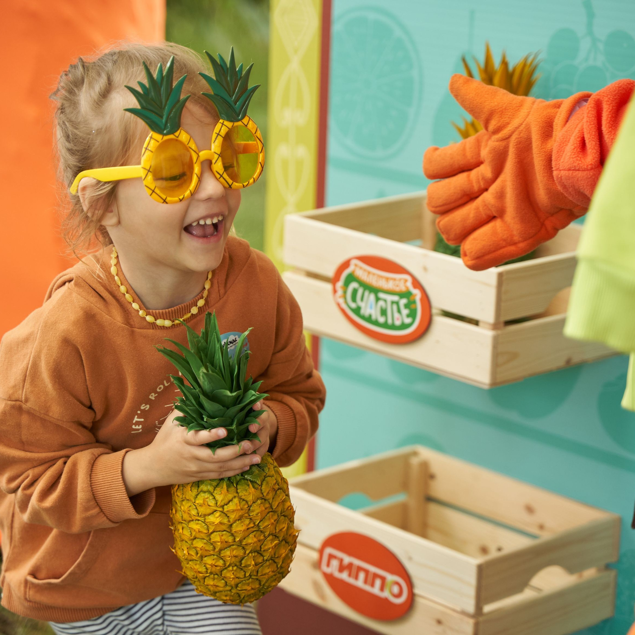 ГИППО на Букидс