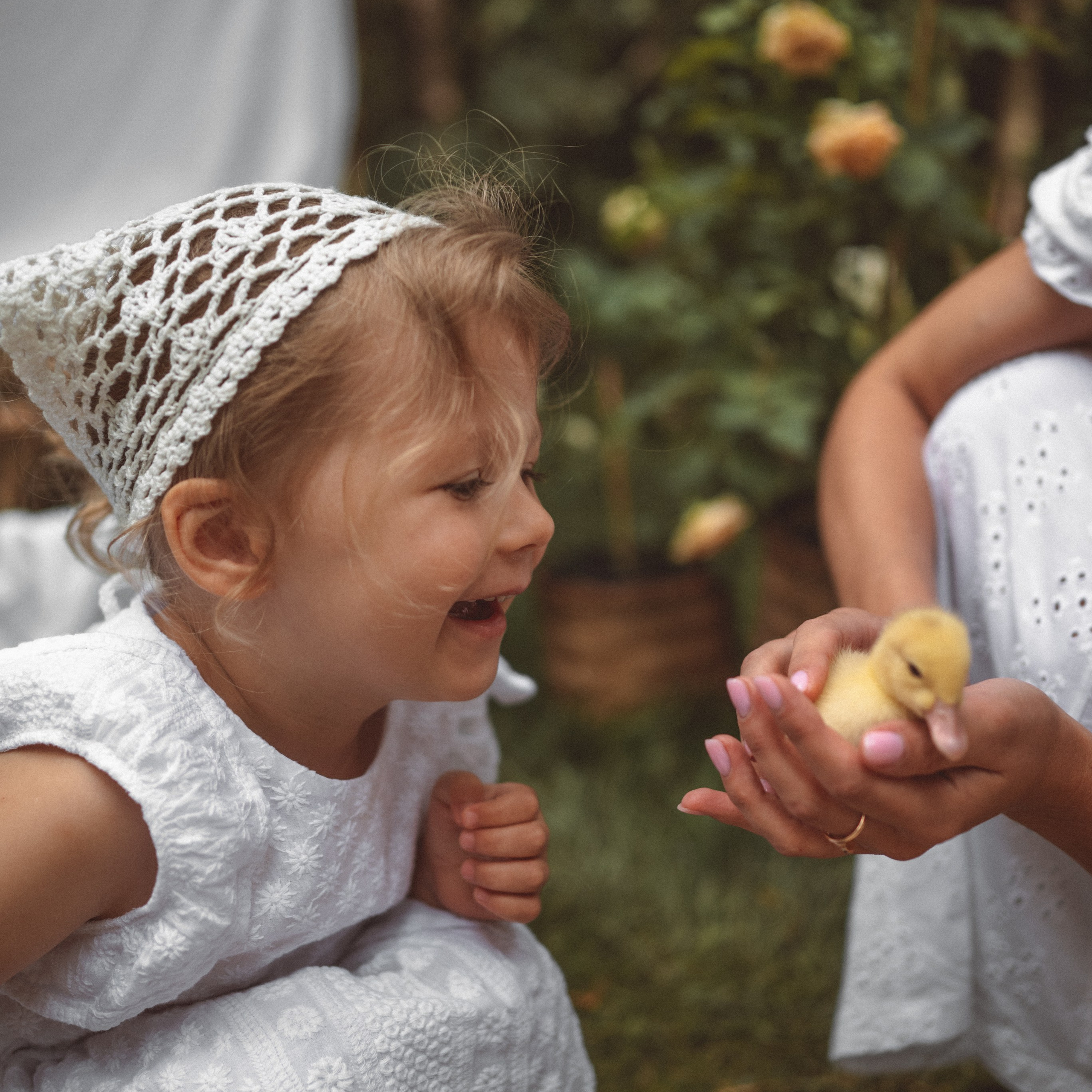 Утиная история