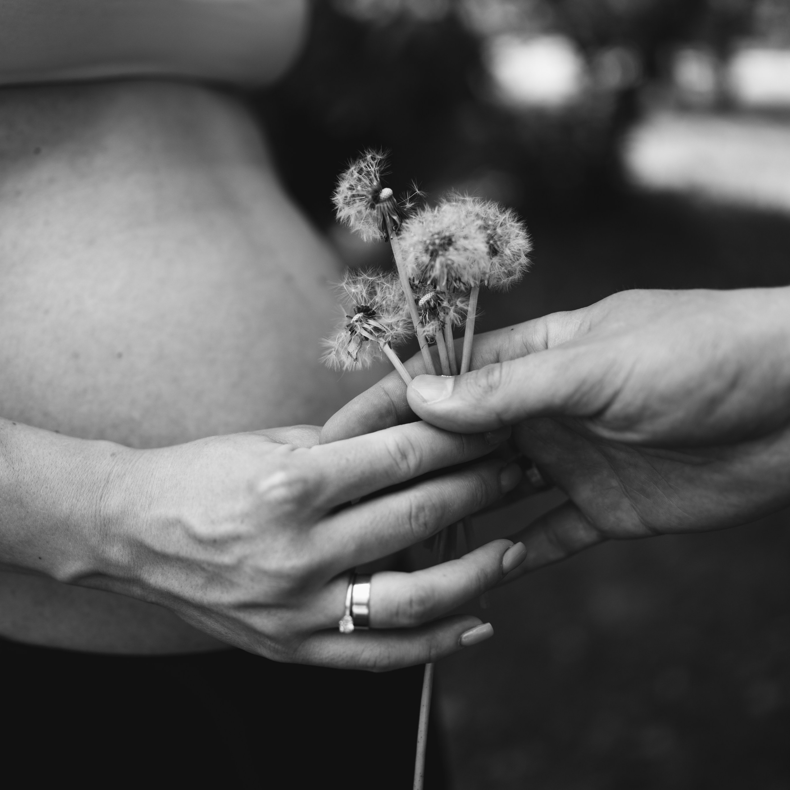 В ожидании принцессы