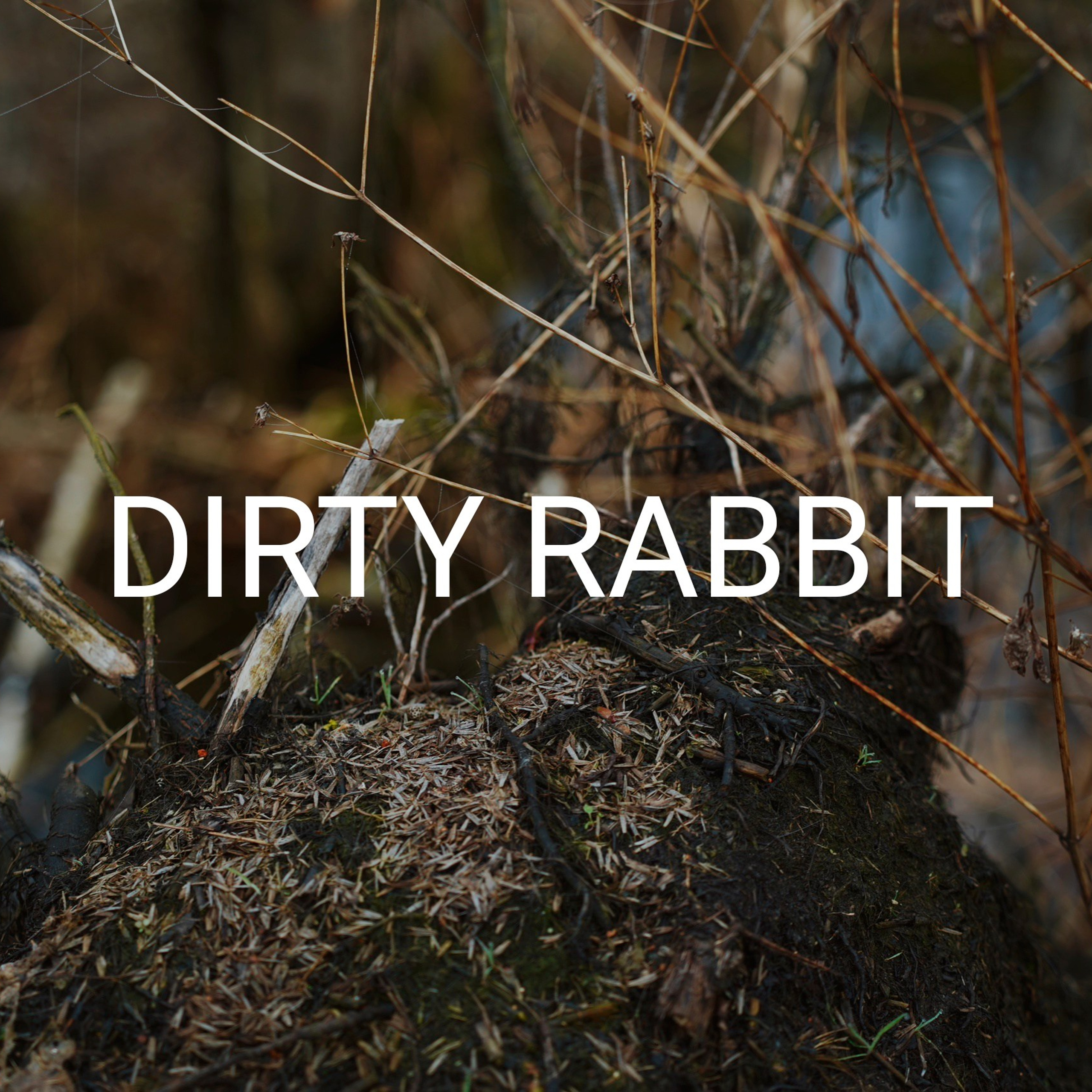 DIRTY RABBIT