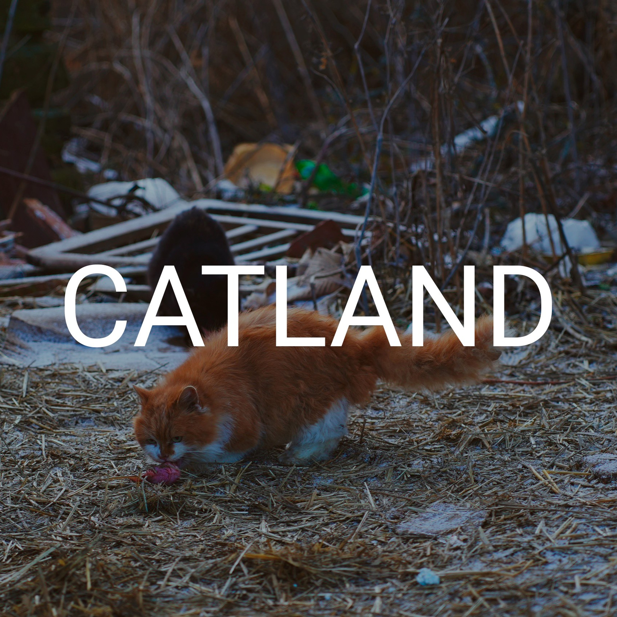 CATLAND