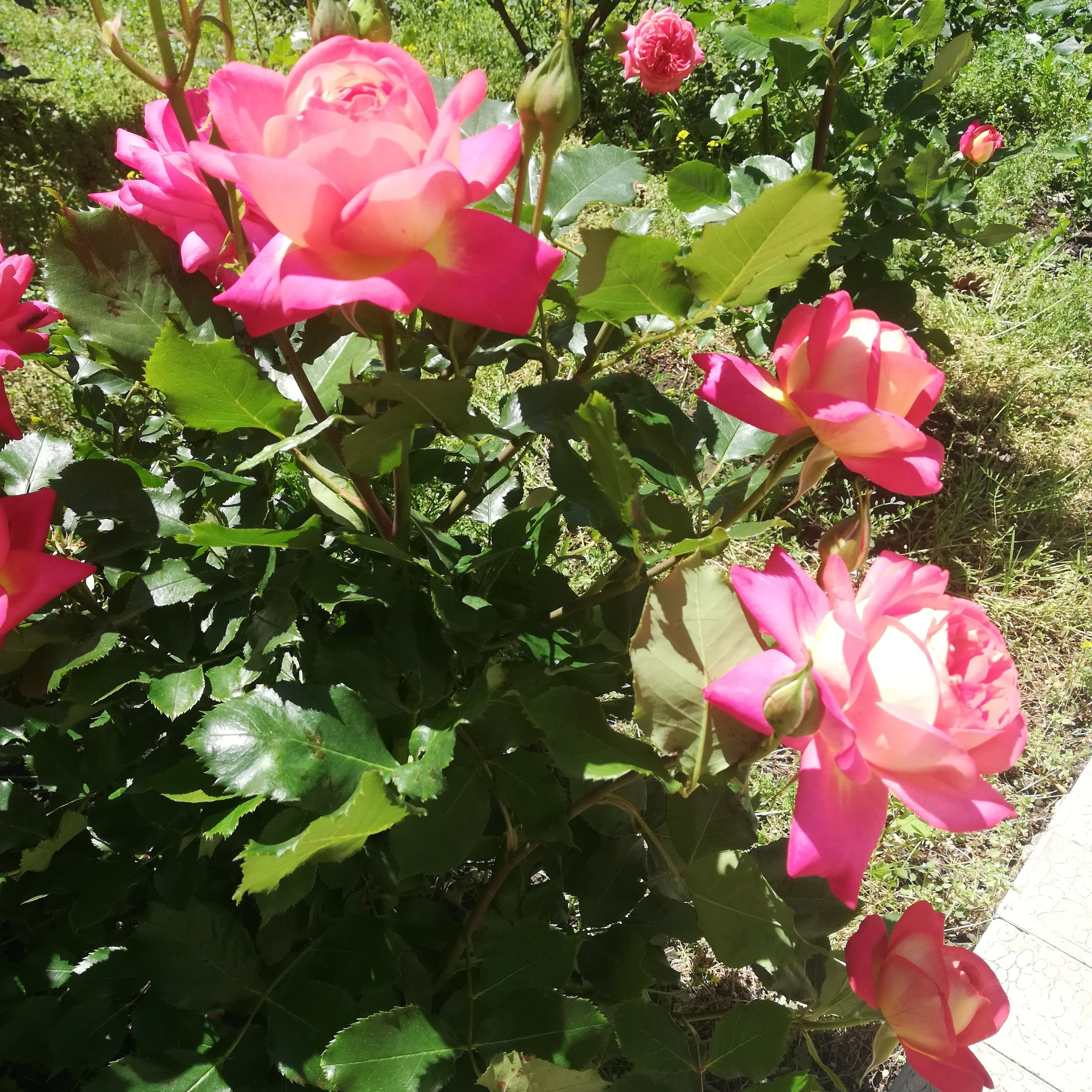 Отзывы. Фотограф в Ростове-на-Дону Мария Аверина