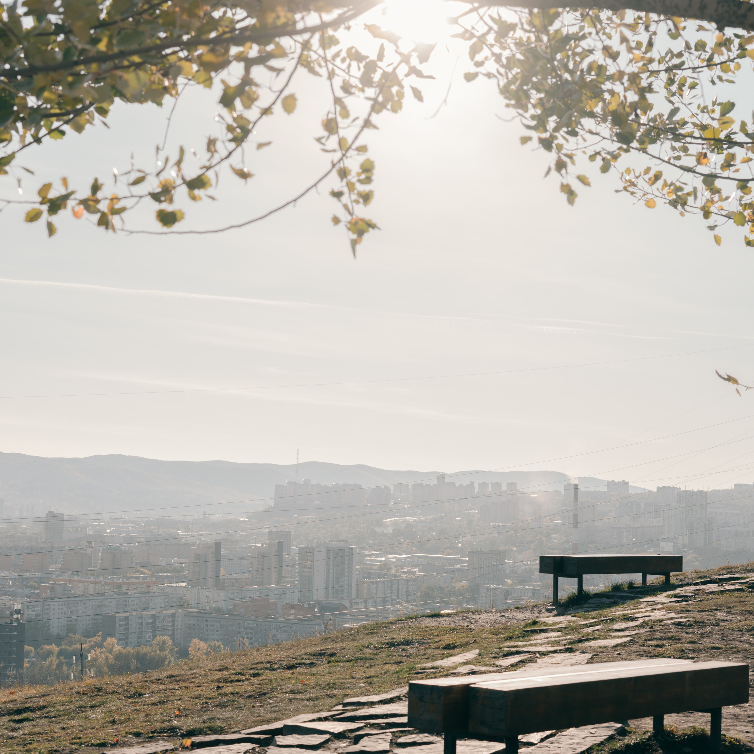 Отзывы. Фотограф Томск Новосибирск Елизавета Вахтеева