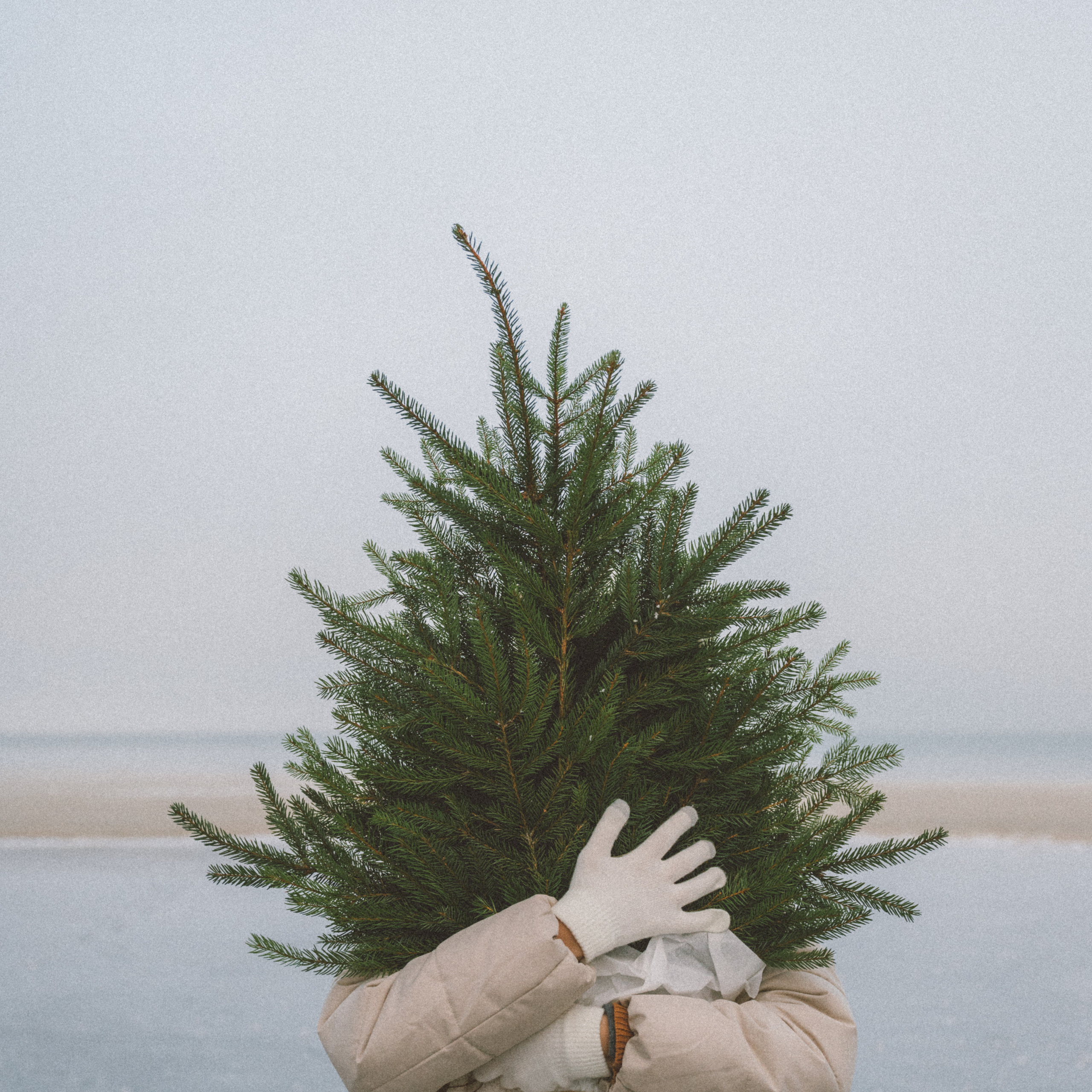 Ваши слова. Фотограф Калининград Ангелина Воробьева