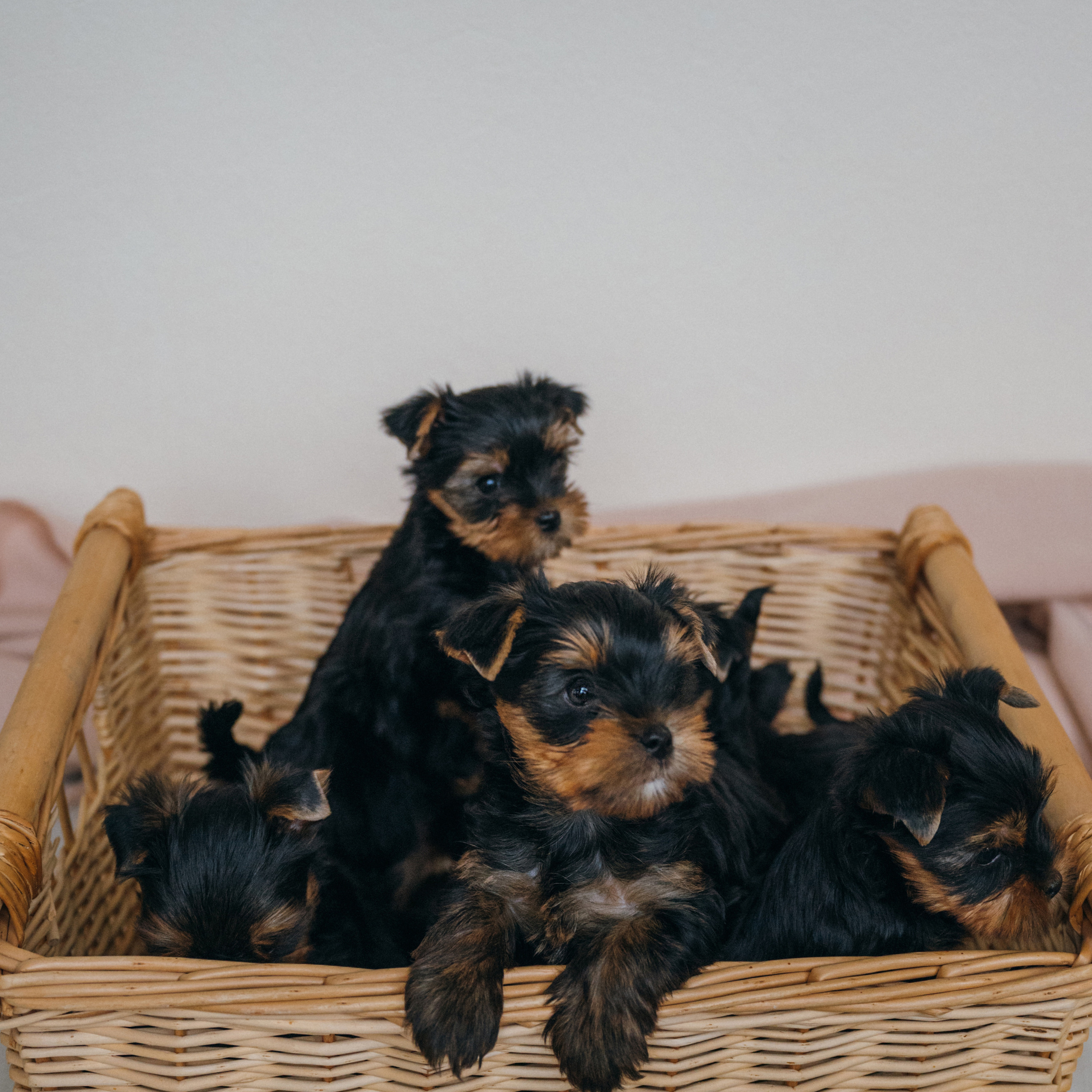 Ваши слова. Фотограф Калининград Ангелина Воробьева