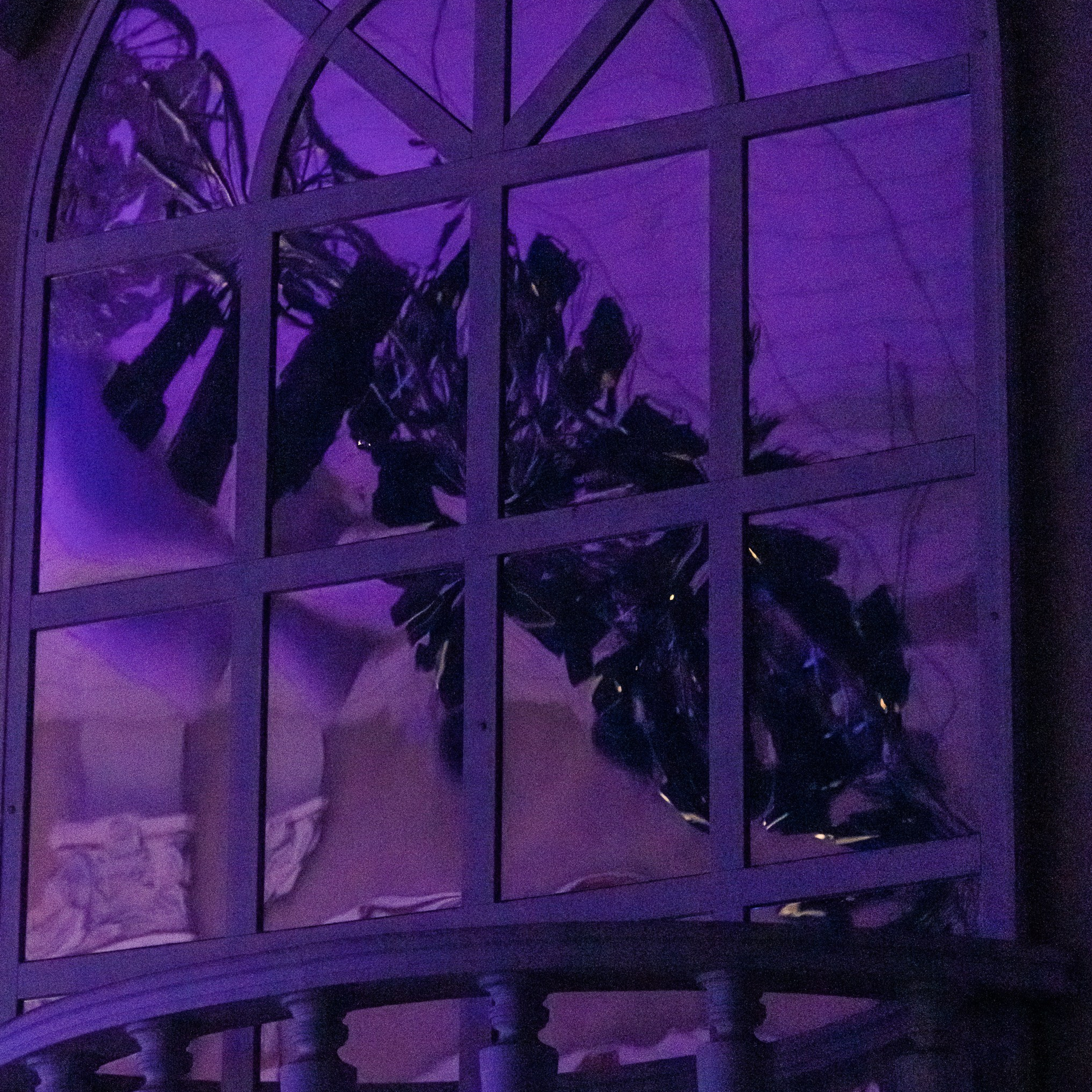 КОНФЕТТИ ИЮНЬ 2023