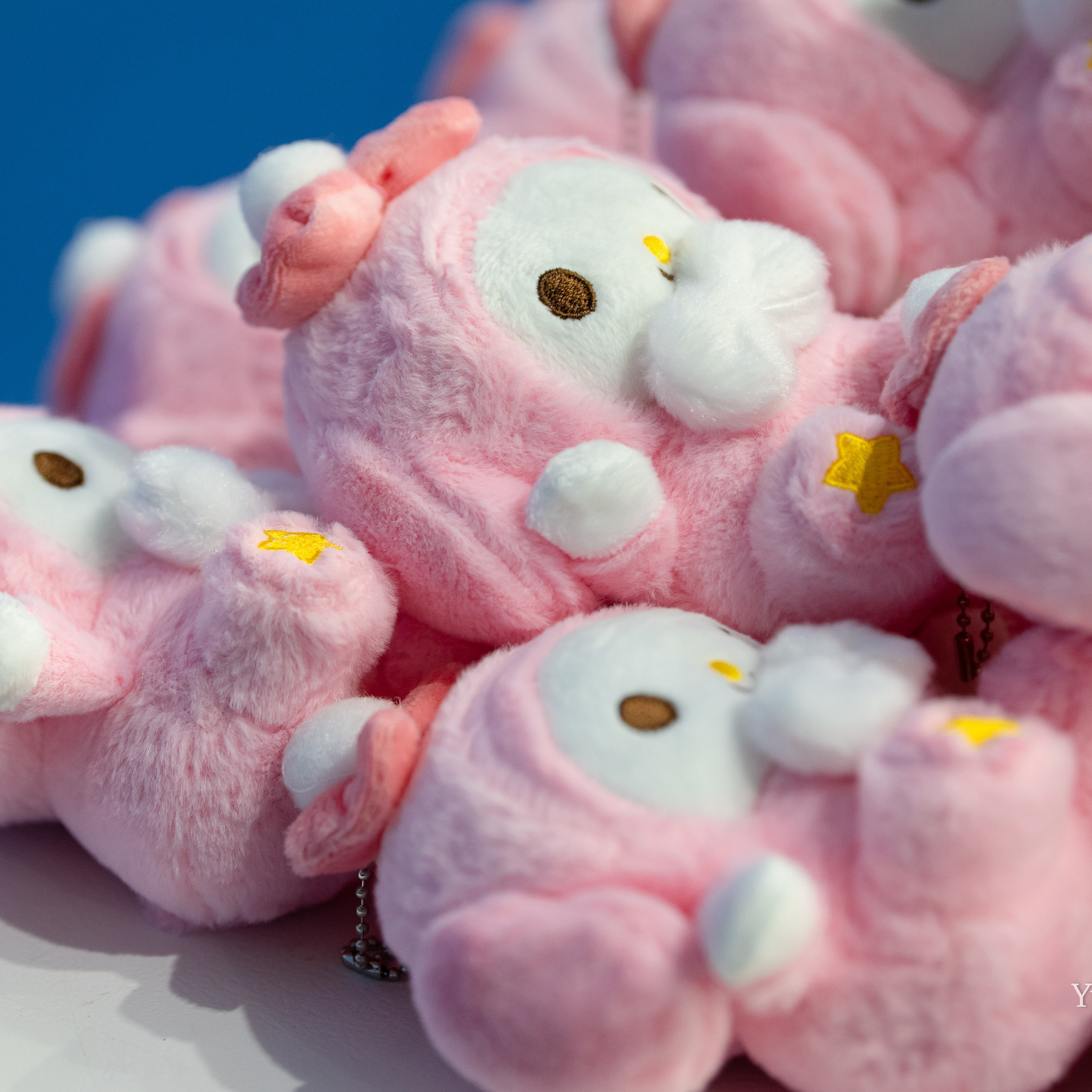 Отзывы. Любимый фотограф