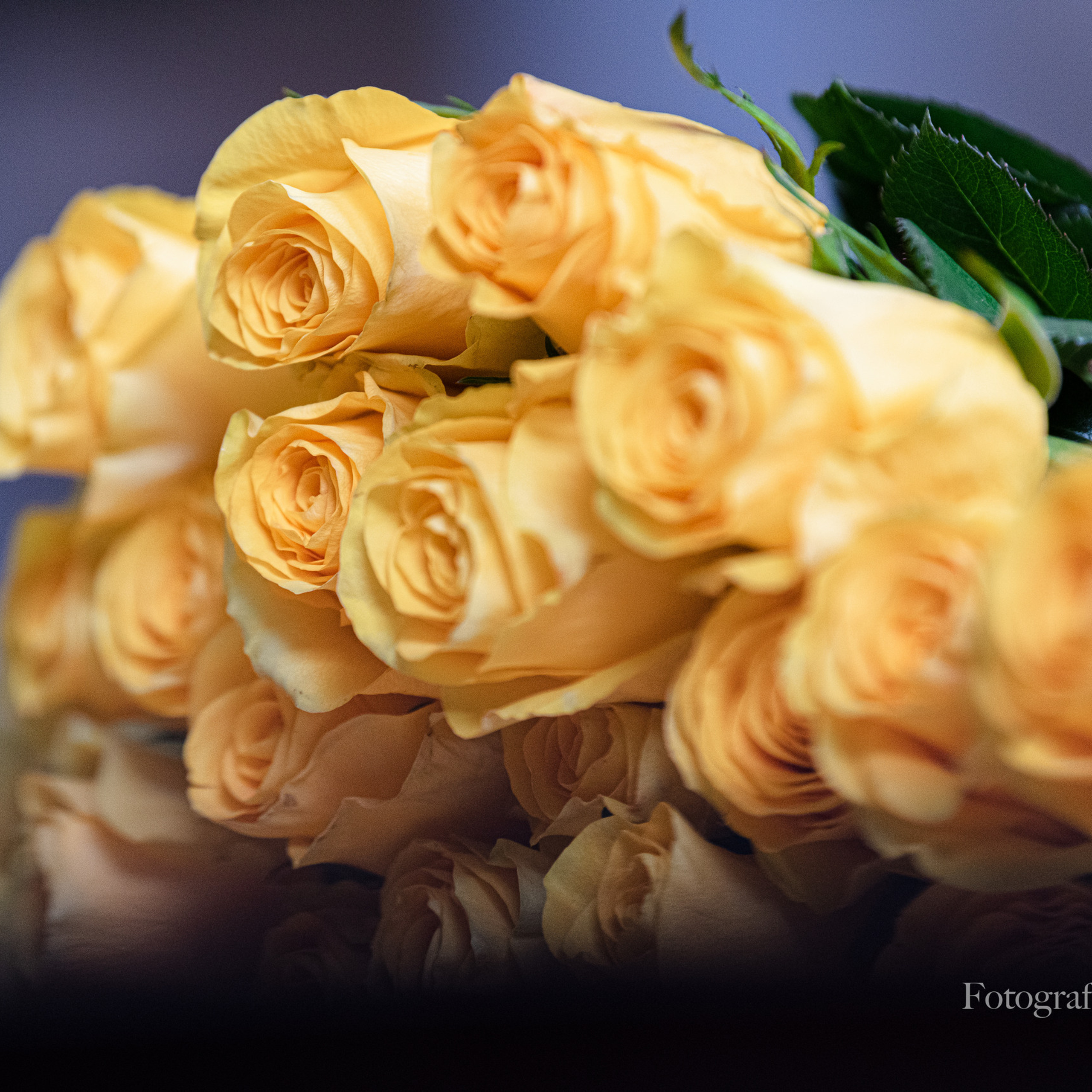 Отзывы. Любимый фотограф