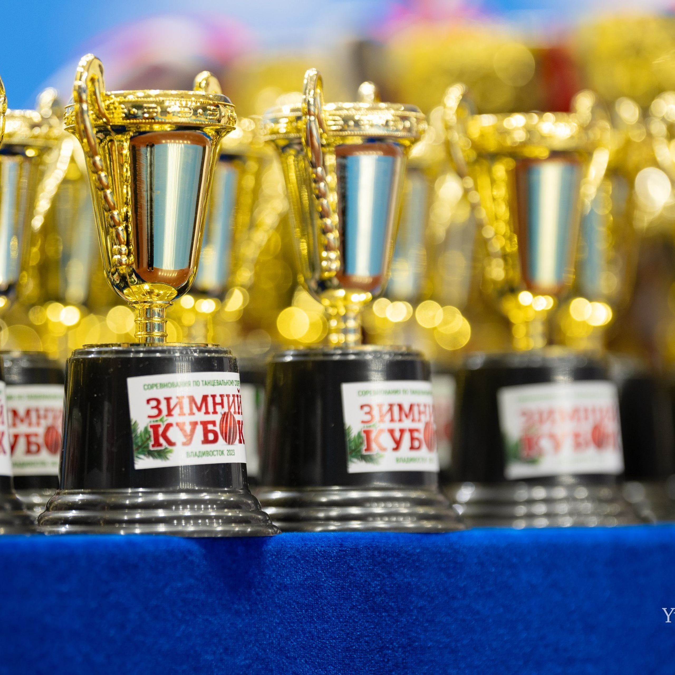 Отзывы. Любимый фотограф