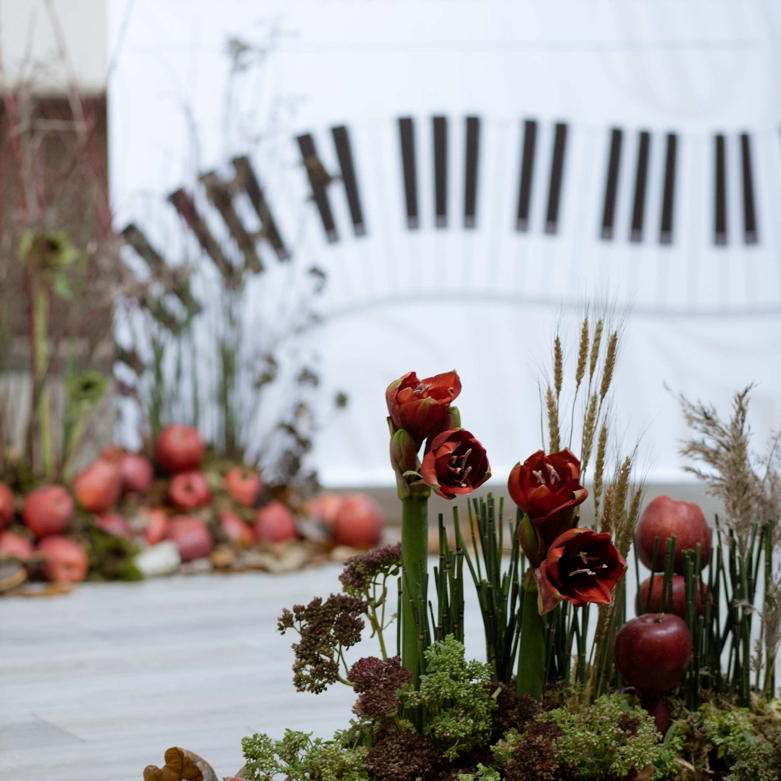 Оформление IX Международного конкурса пианистов имени Д. Д. Шостаковича