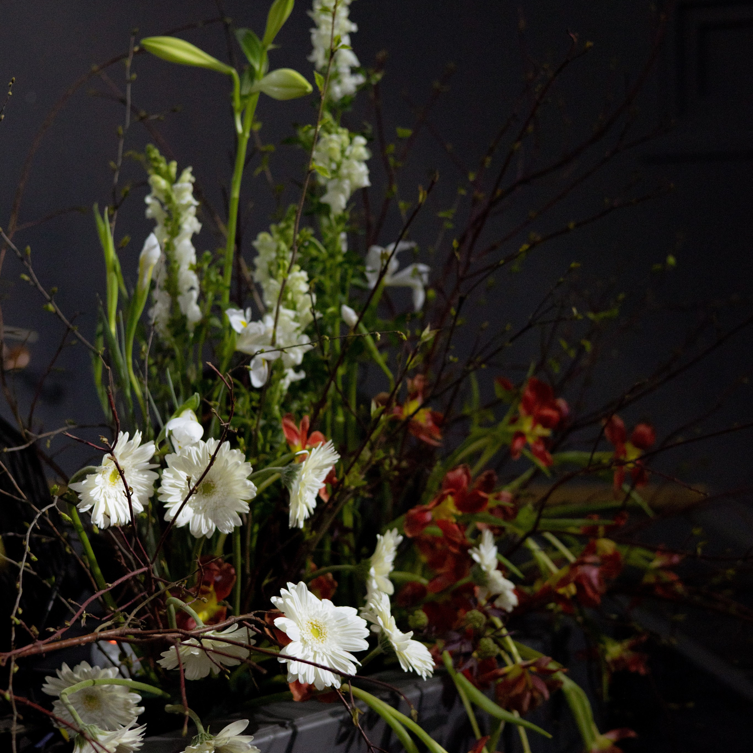 Оформление Отчетного концерта Музыкальной школы Глазунова