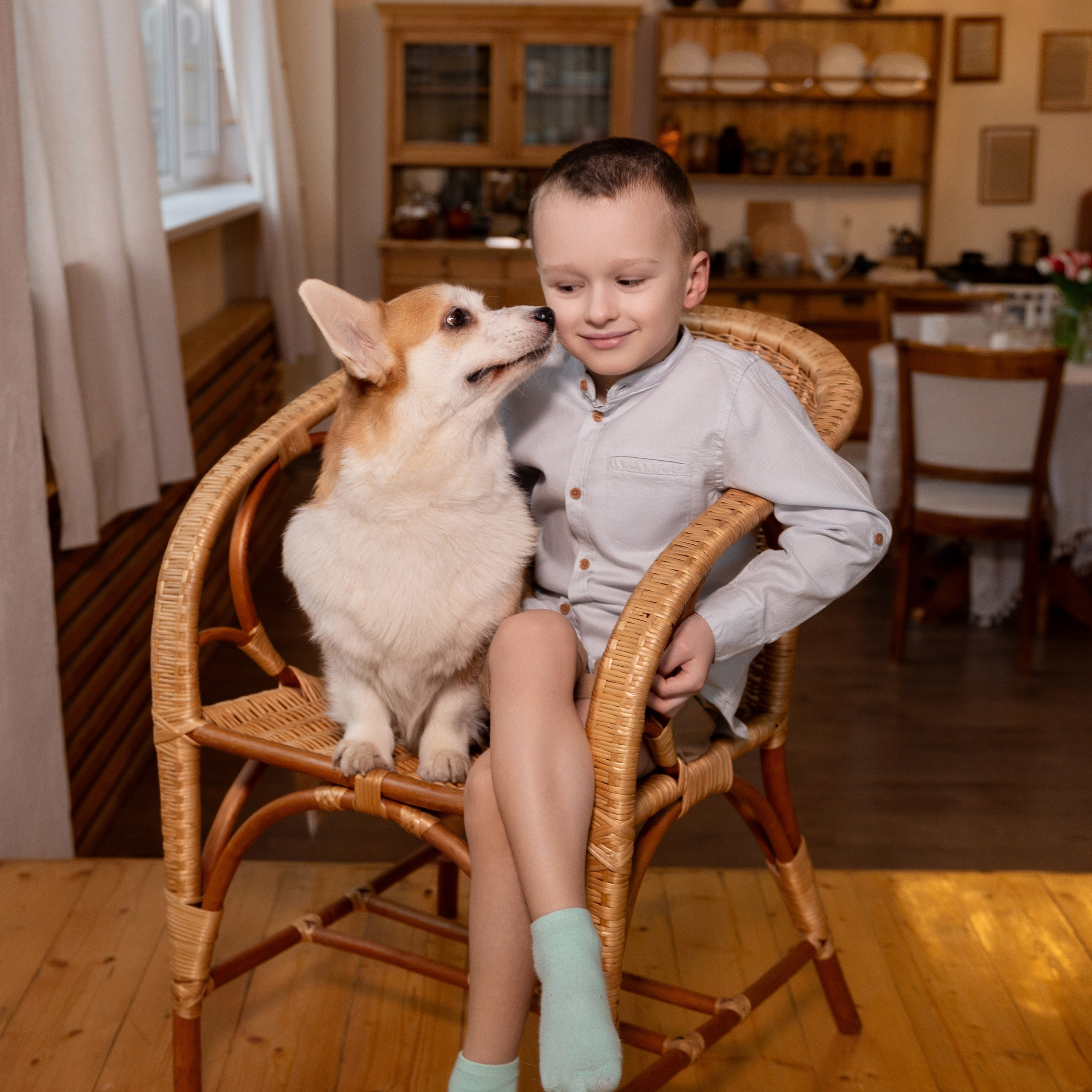 Фотосессия с корги. Семейный и свадебный фотограф в Санкт-Петербурге Татьяна Швыкова