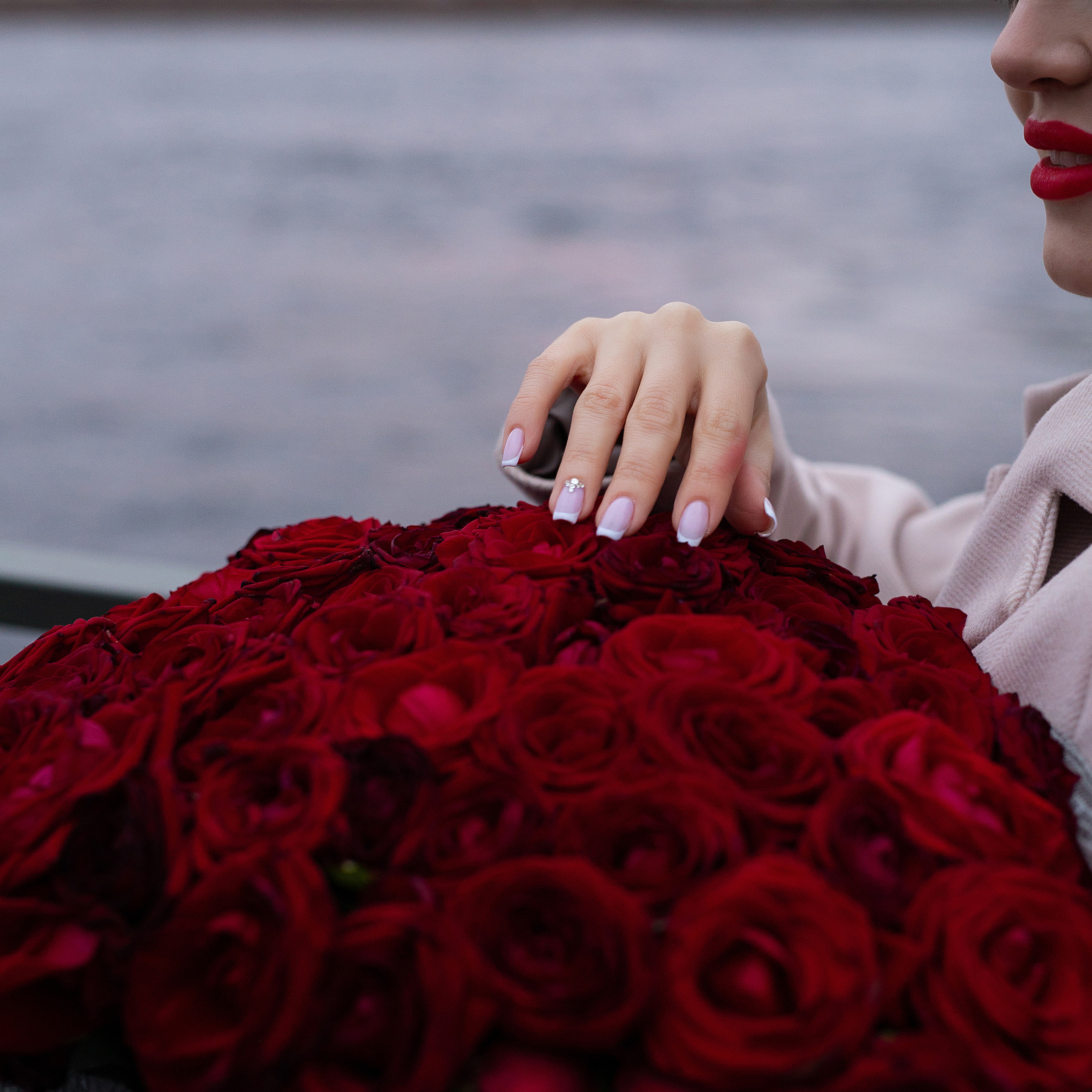 розы большие красные шикарный букет