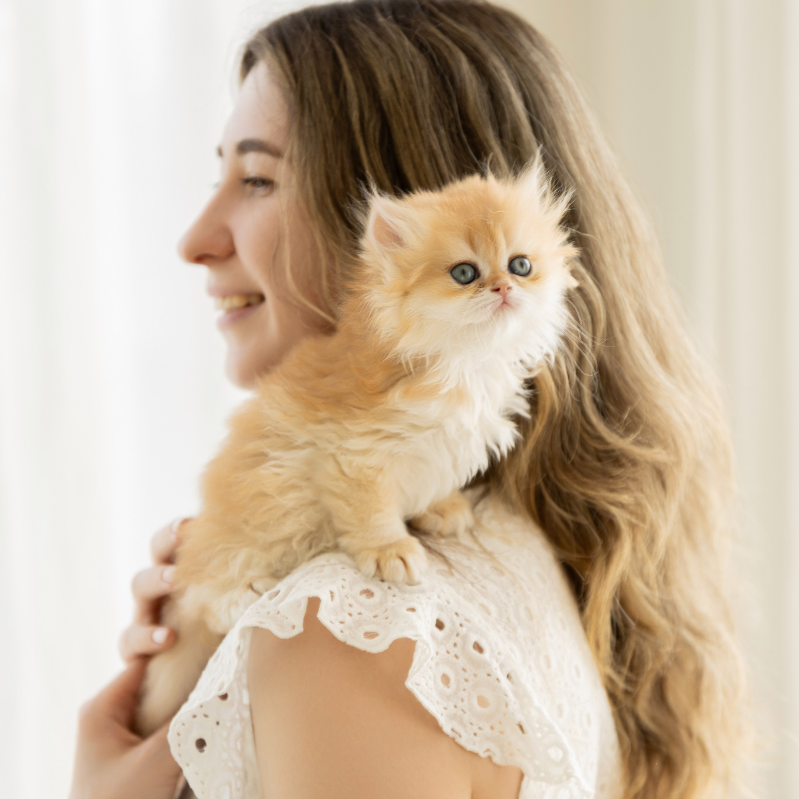 Семейная фотосессия с&nbsp;котятами