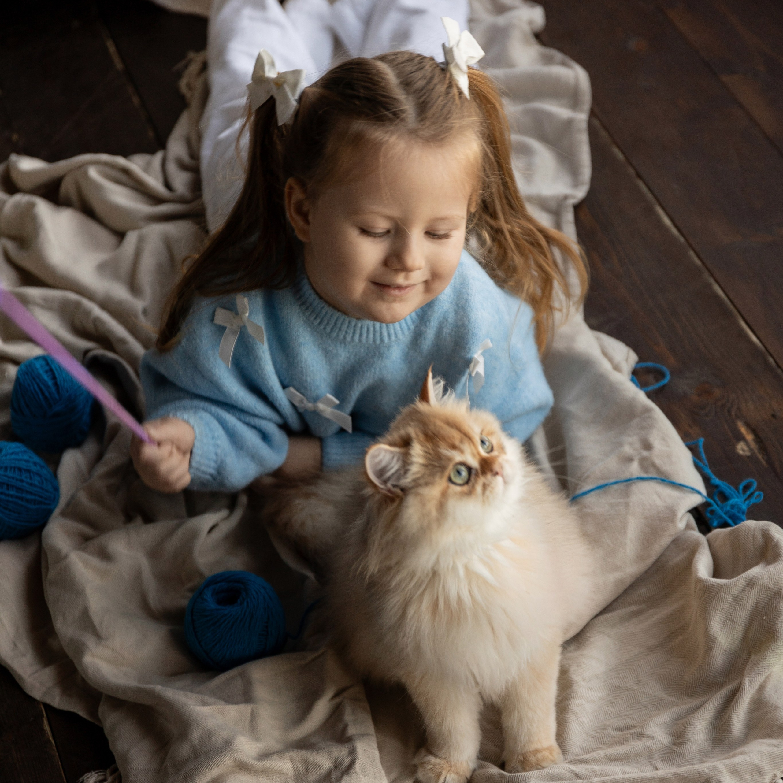 Фотосессия с котятами. Семейный и свадебный фотограф в Санкт-Петербурге Татьяна Швыкова