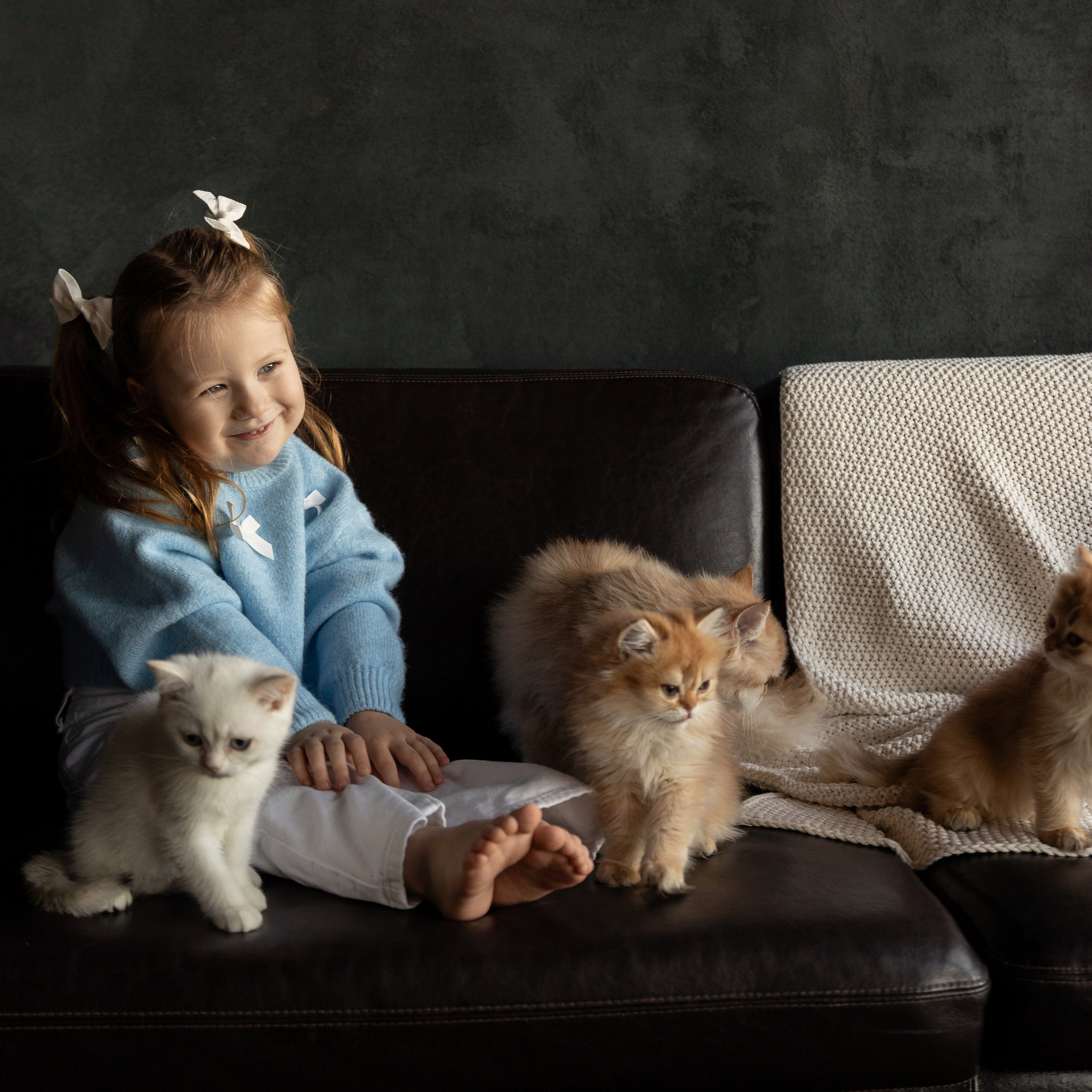 Фотосессия с котятами. Семейный и свадебный фотограф в Санкт-Петербурге Татьяна Швыкова