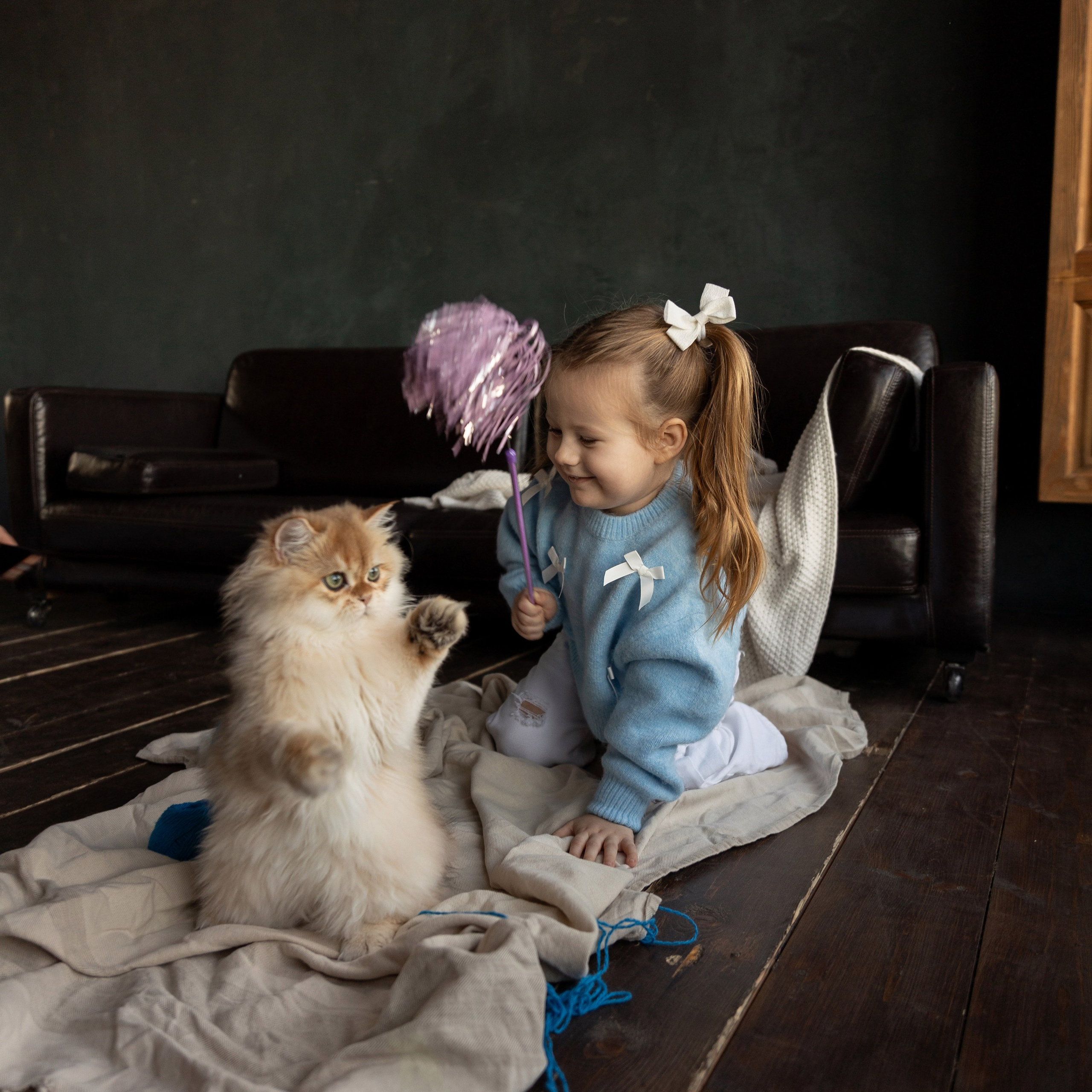 Фотосессия с котятами. Семейный и свадебный фотограф в Санкт-Петербурге Татьяна Швыкова