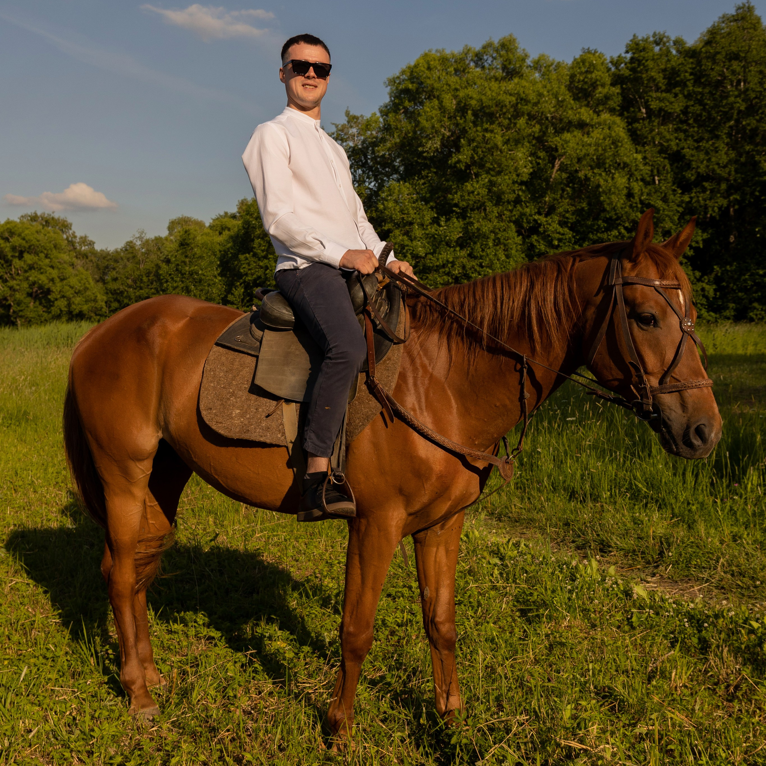 Фотопрогулка на лошадях. Семейный и свадебный фотограф в Санкт-Петербурге Татьяна Швыкова