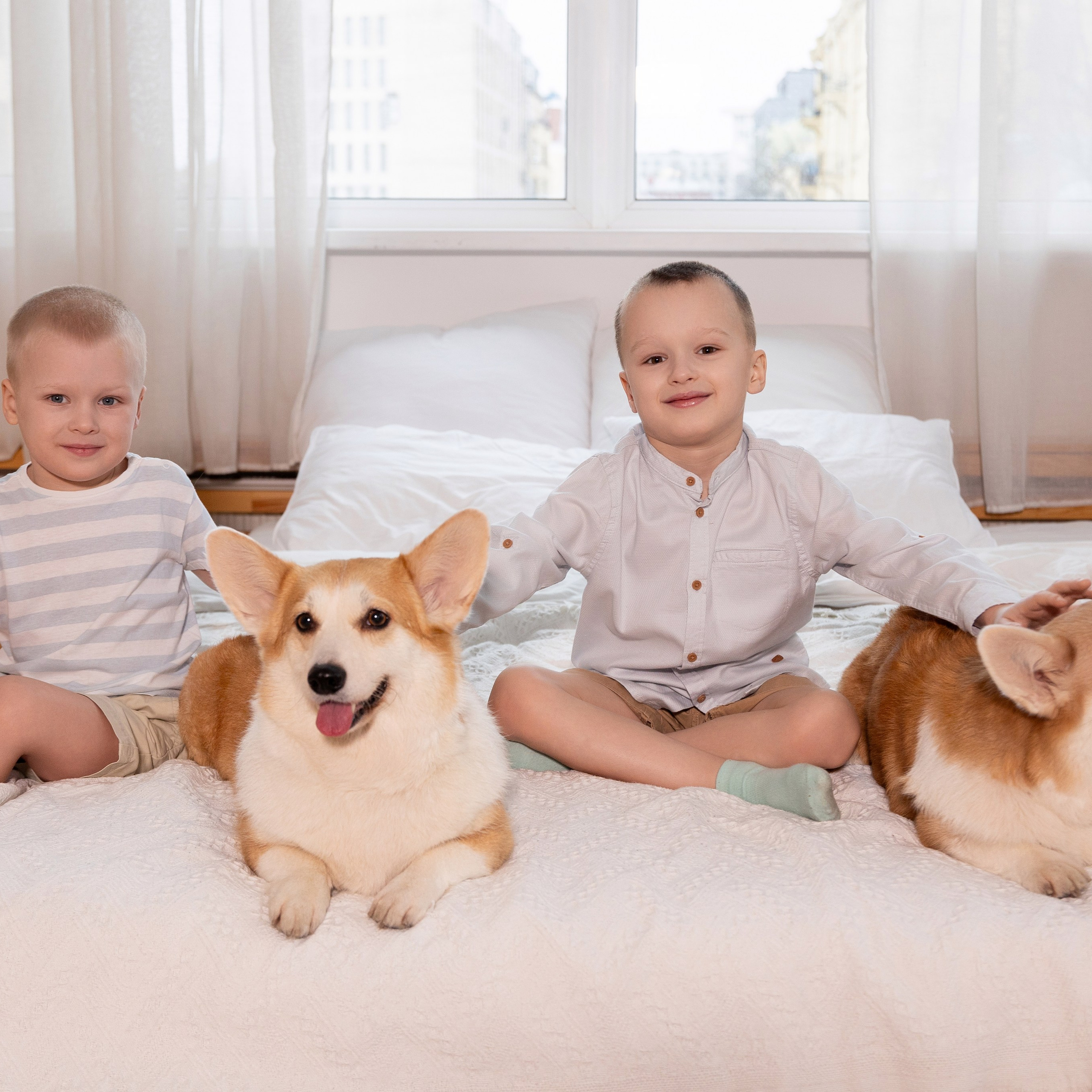 Фотосессия с корги. Семейный и свадебный фотограф в Санкт-Петербурге Татьяна Швыкова